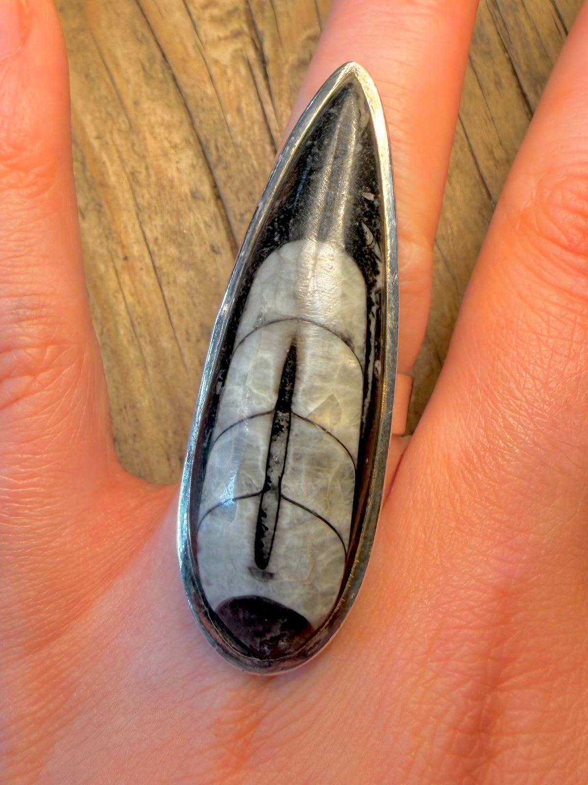 Large Orthoceras Fossil Black and White 925 Sterling Silver Size P Ring