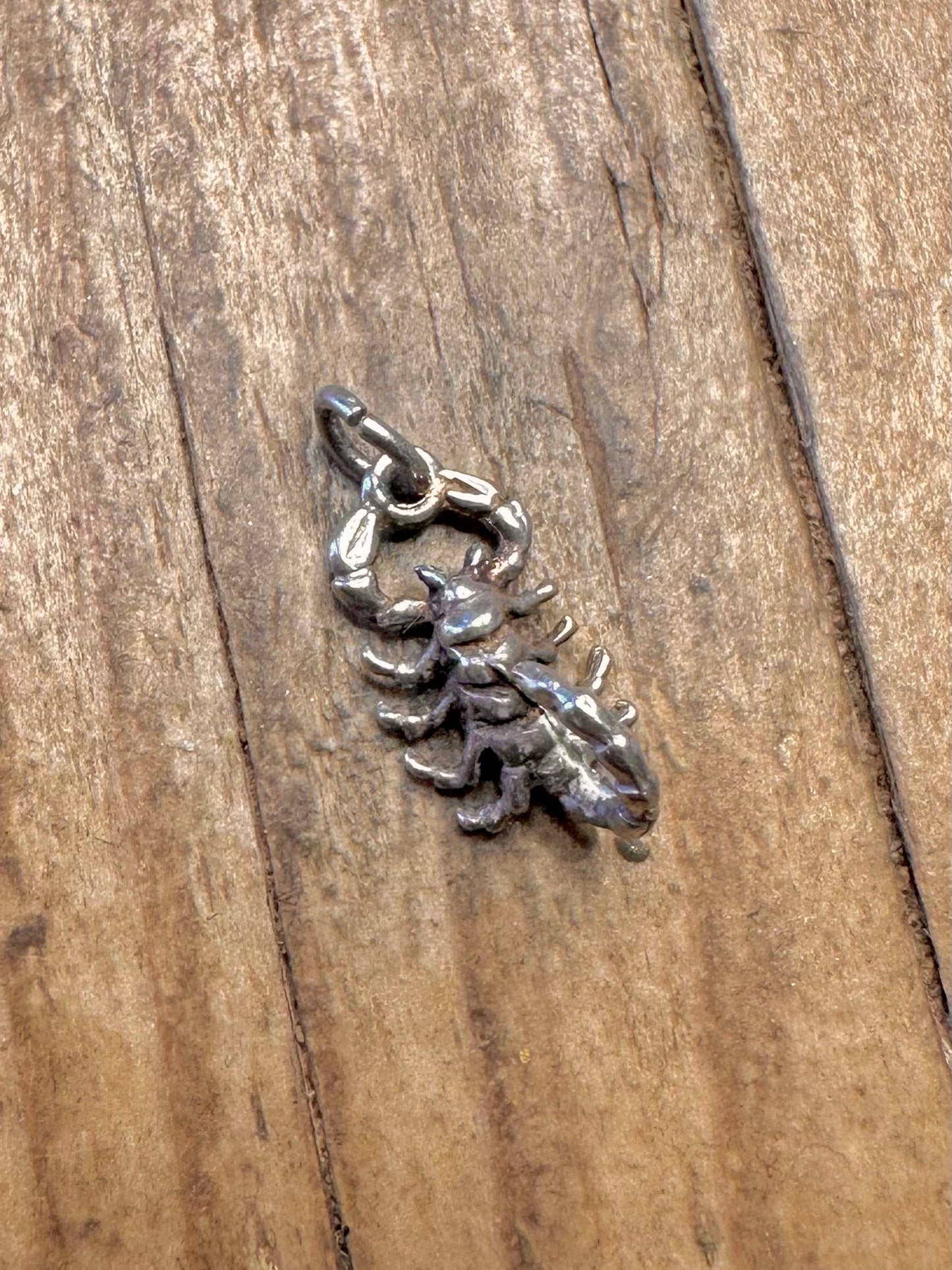 Skorpion 925 Sterling Silber Charm-Anhänger