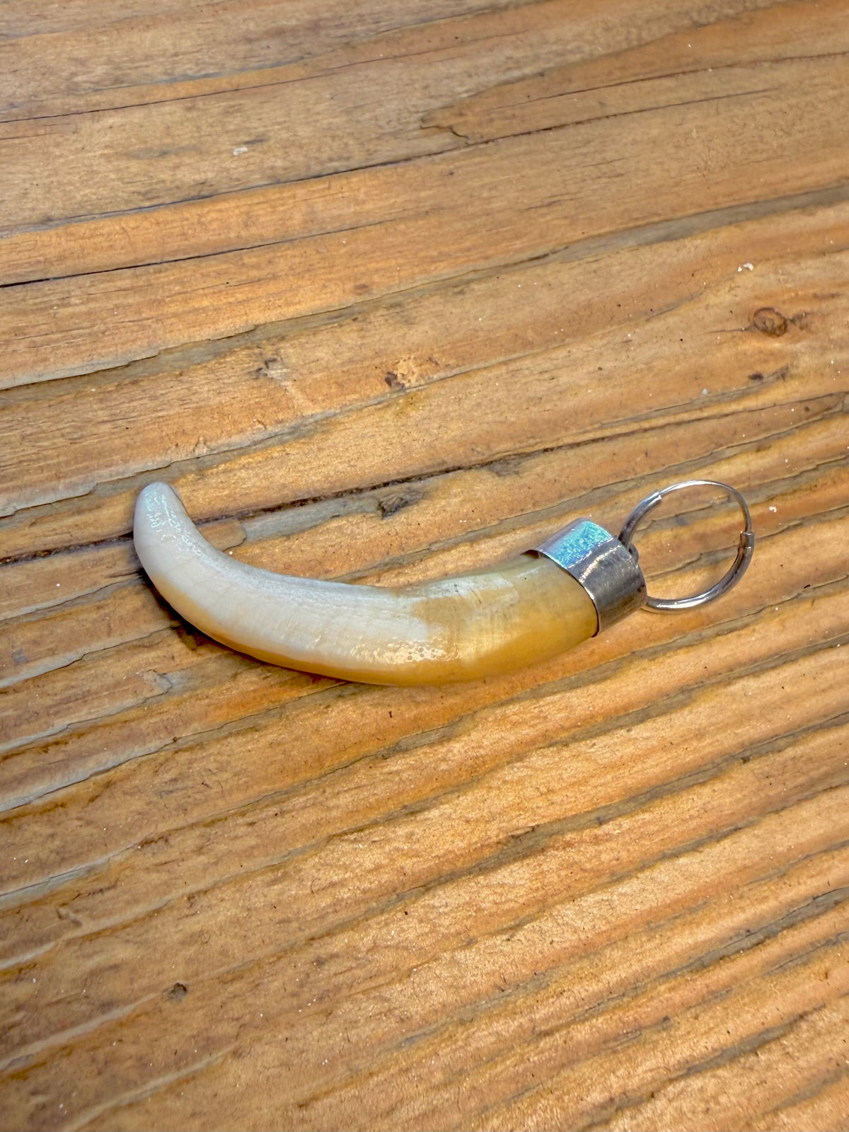 Curved Tooth Single Hoop 925 Sterling Silver Earring
