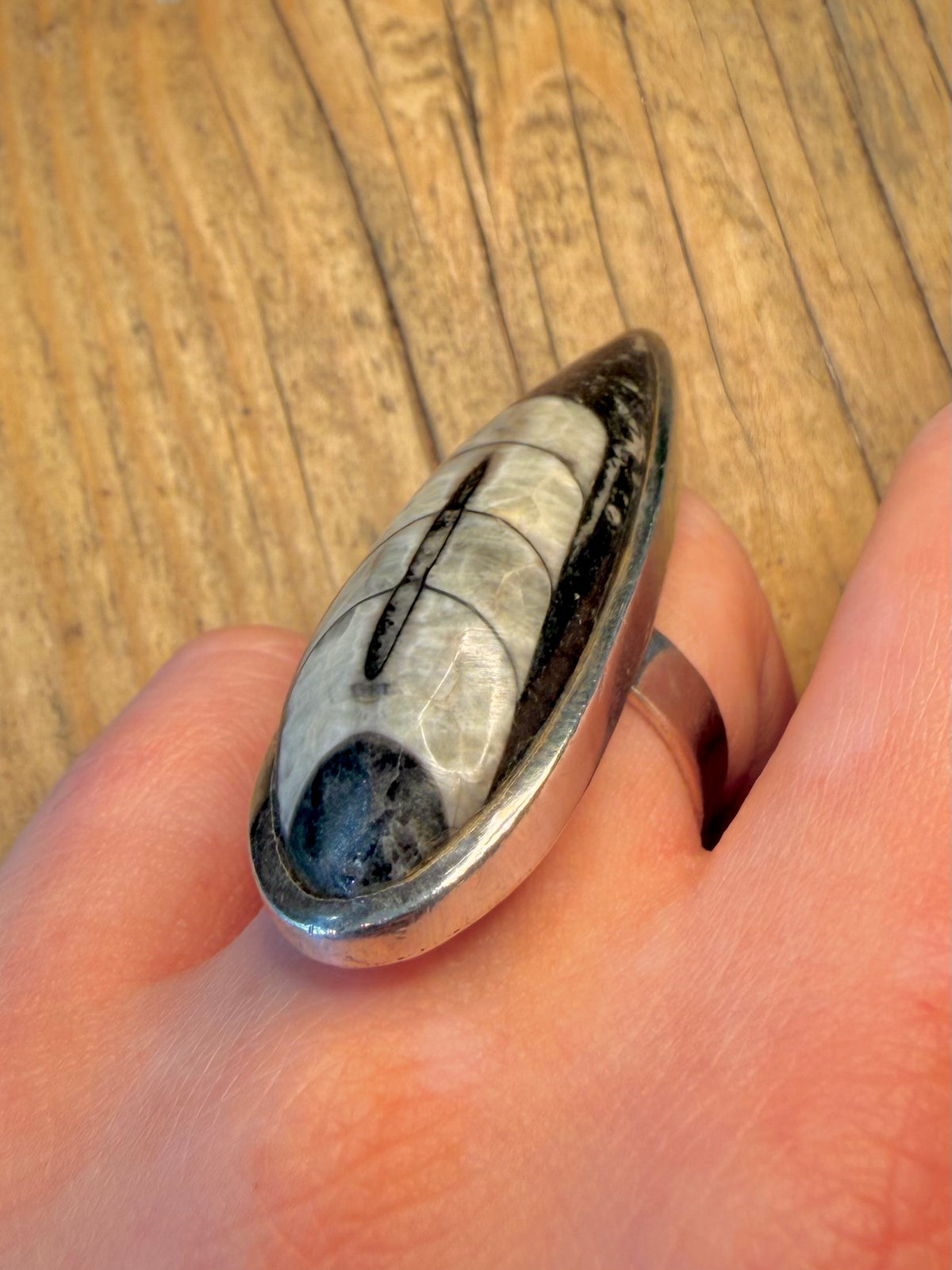 Large Orthoceras Fossil Black and White 925 Sterling Silver Size P Ring