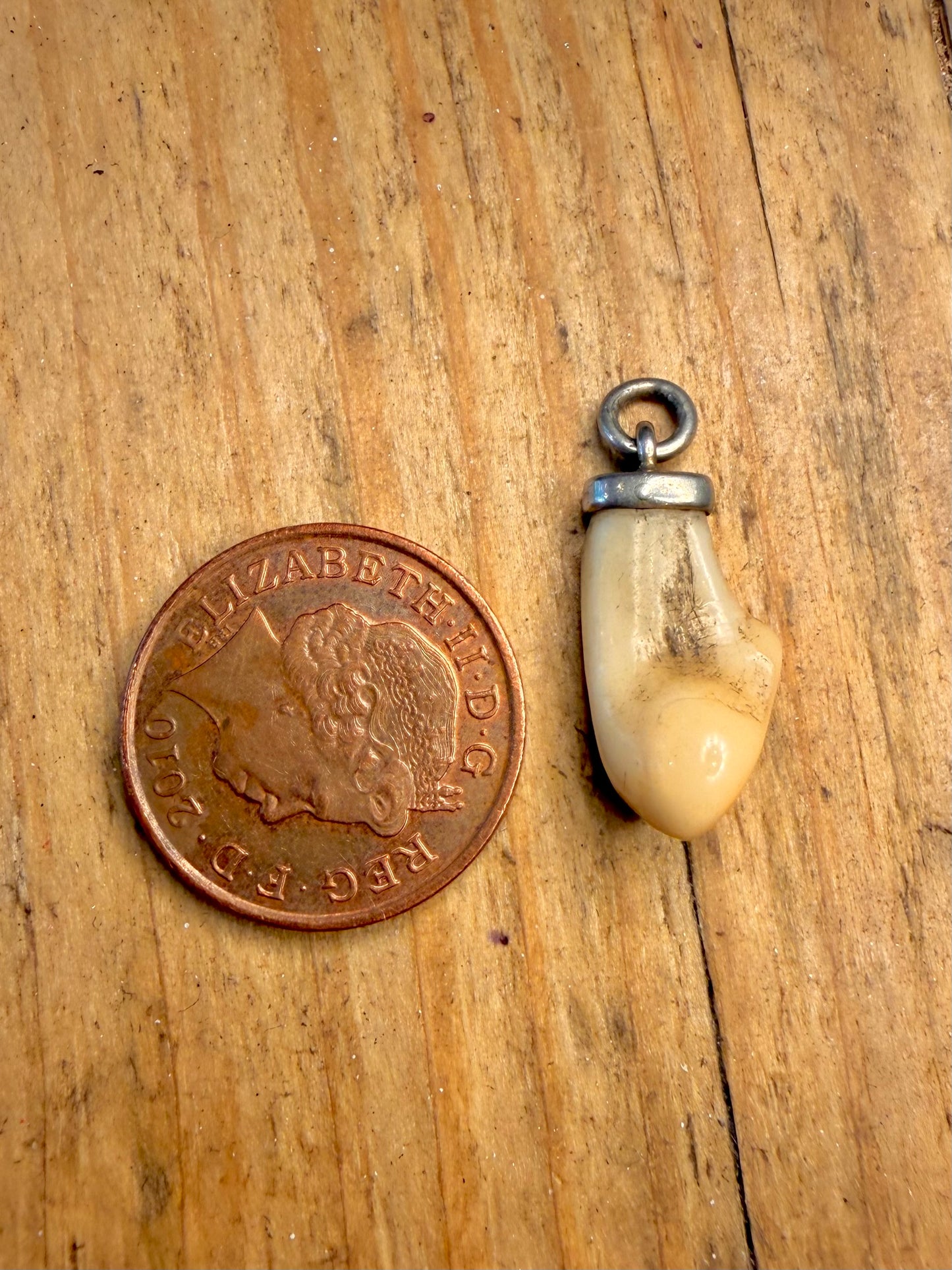 Tooth Mount 925 Sterling Silver Pendant