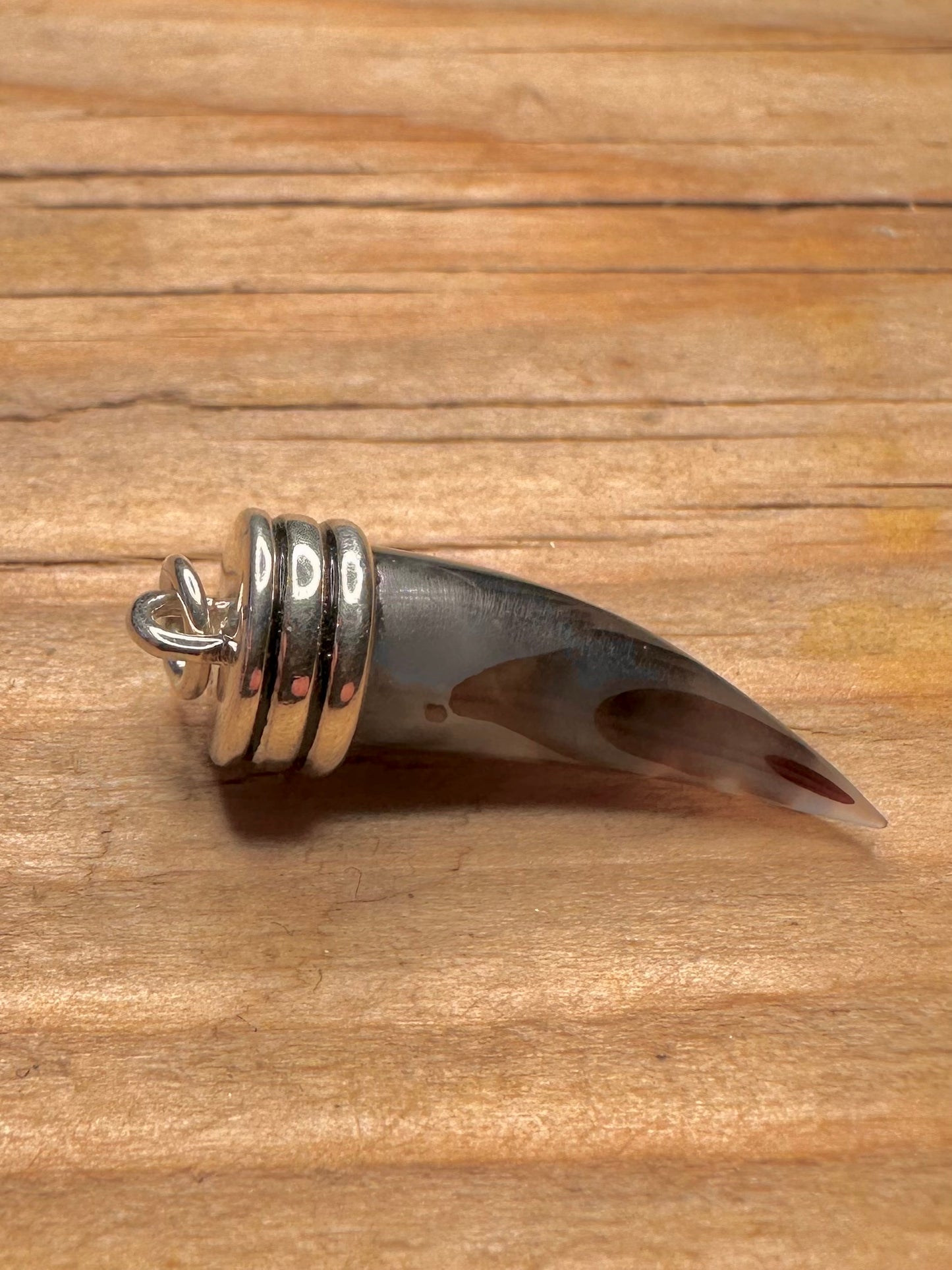 Modern Abalone Claw 925 Sterling Silver Pendant