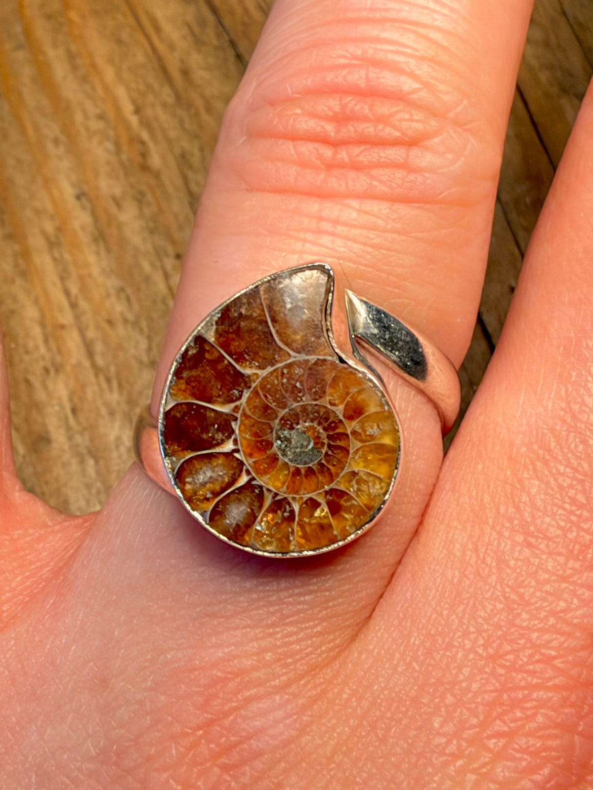 Ammonite Fossil 925 Sterling Silver Size R Ring