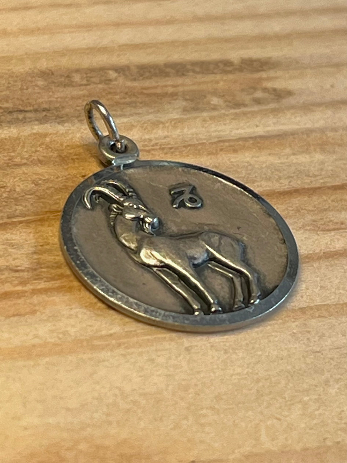 Circle Capricorn Zodiac 925 Sterling Silver Pendant