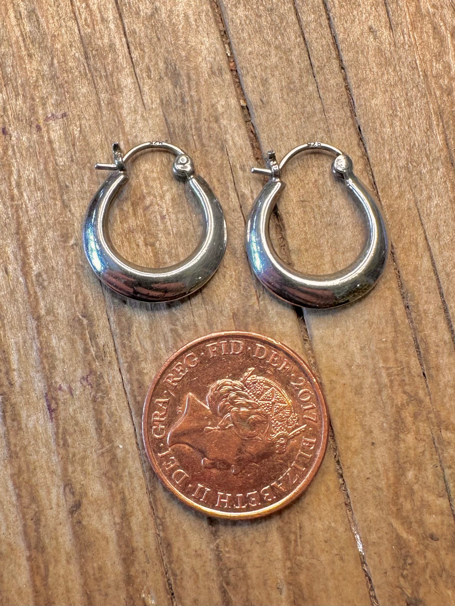 Runde, dicke Creolen aus 925er Sterlingsilber