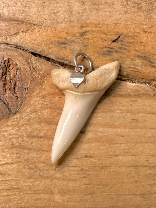 Vintage Tooth 925 Silver Pendant