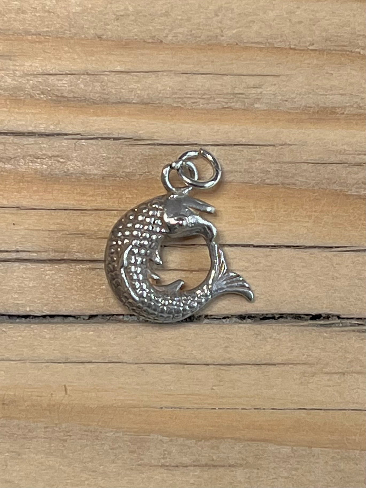 Small Circle Fish 925 Sterling Silver Pendant