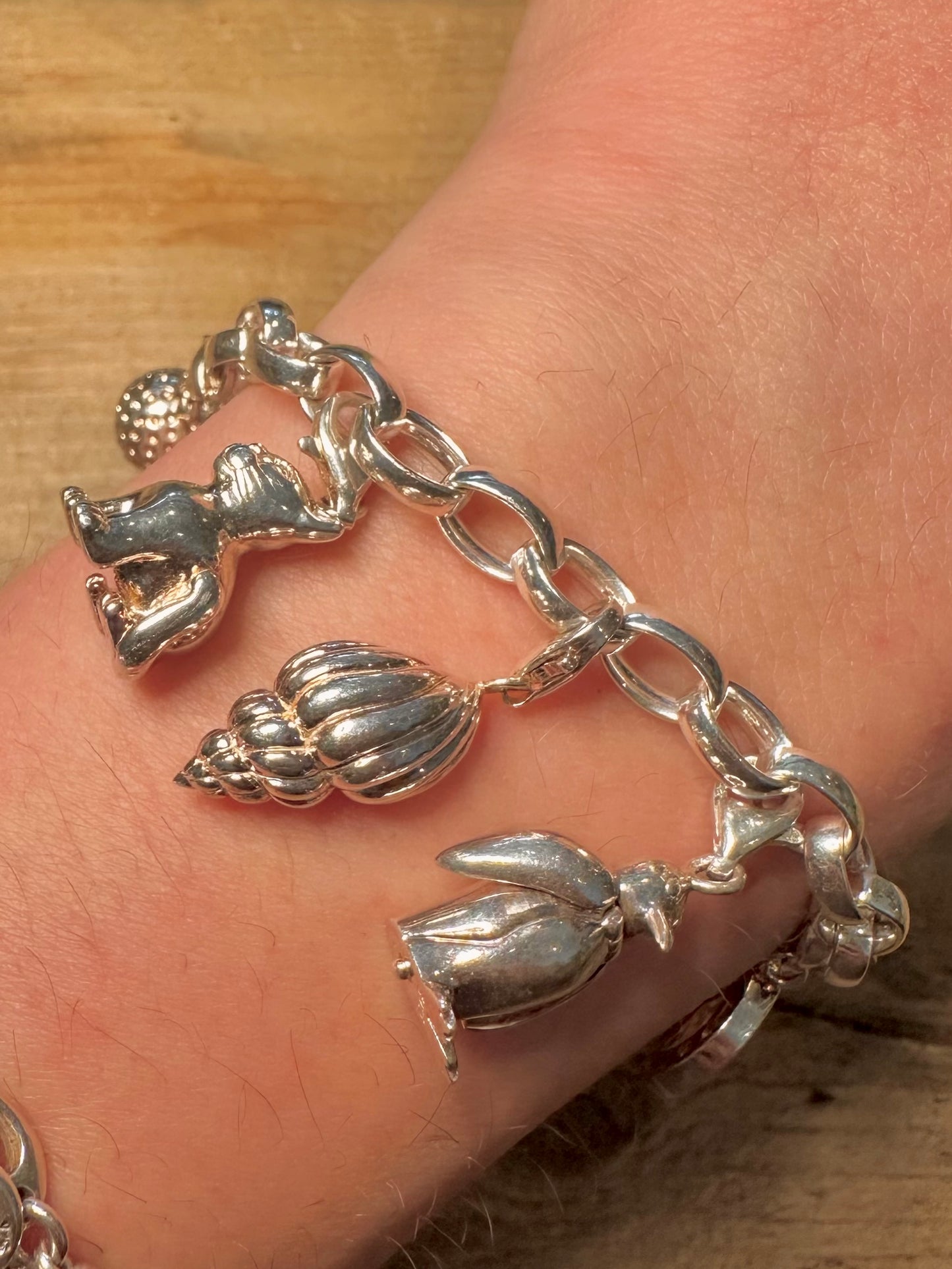 Thomas Sabo Charm Club 925 Silver Bracelet