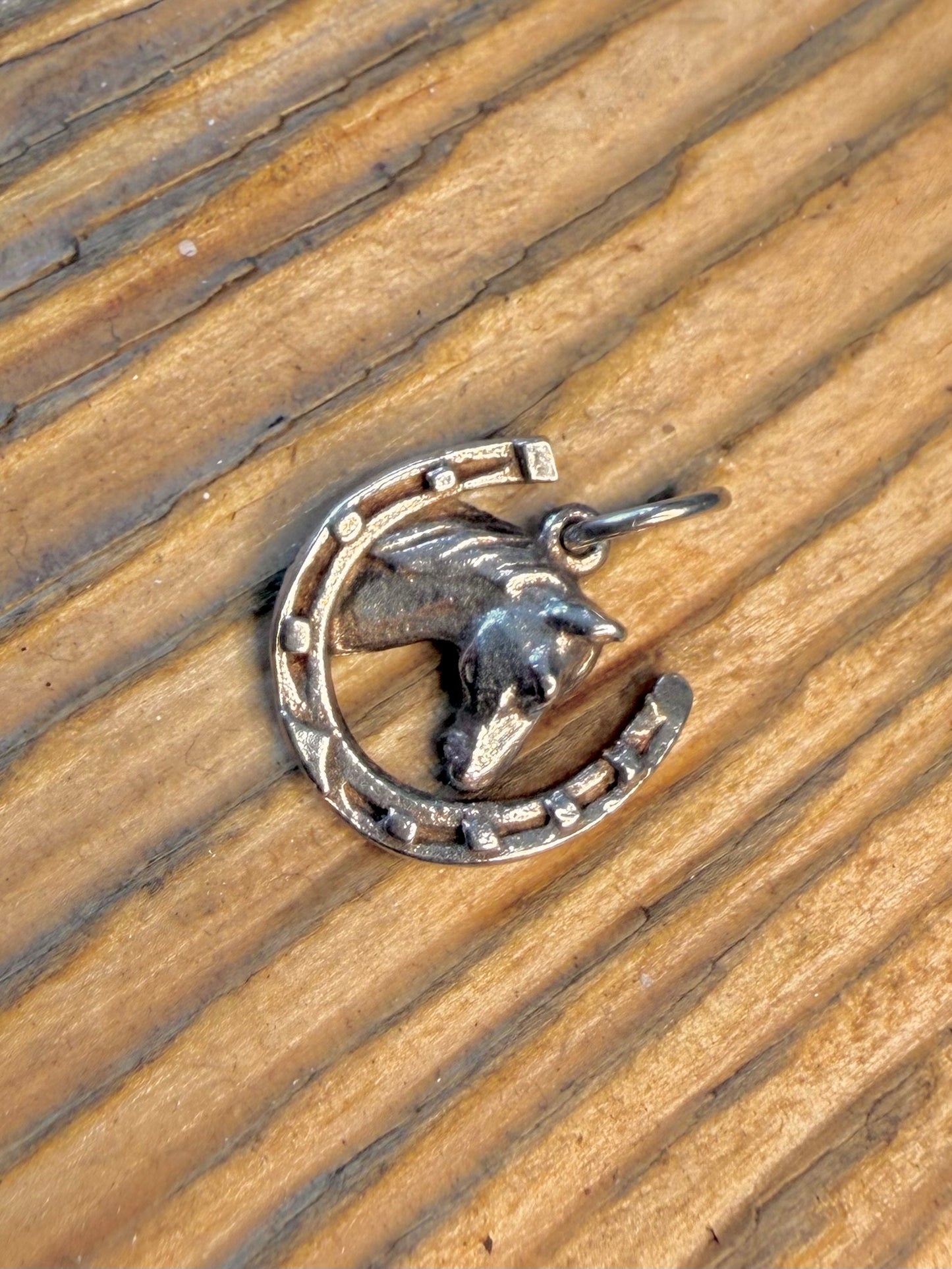 Horseshoe Head 925 Sterling Silver Pendant