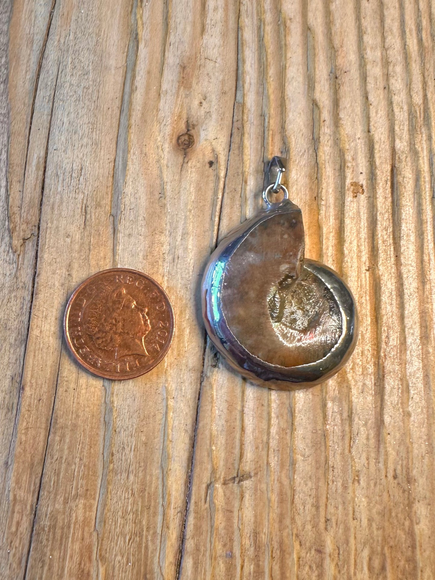 Ammonite with Silver Mount 925 Sterling Silver Pendant