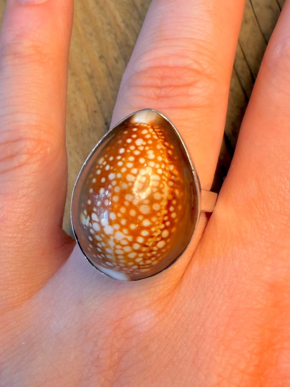 Cowrie Shell 925 Sterling Silver Size P Adjustable Ring