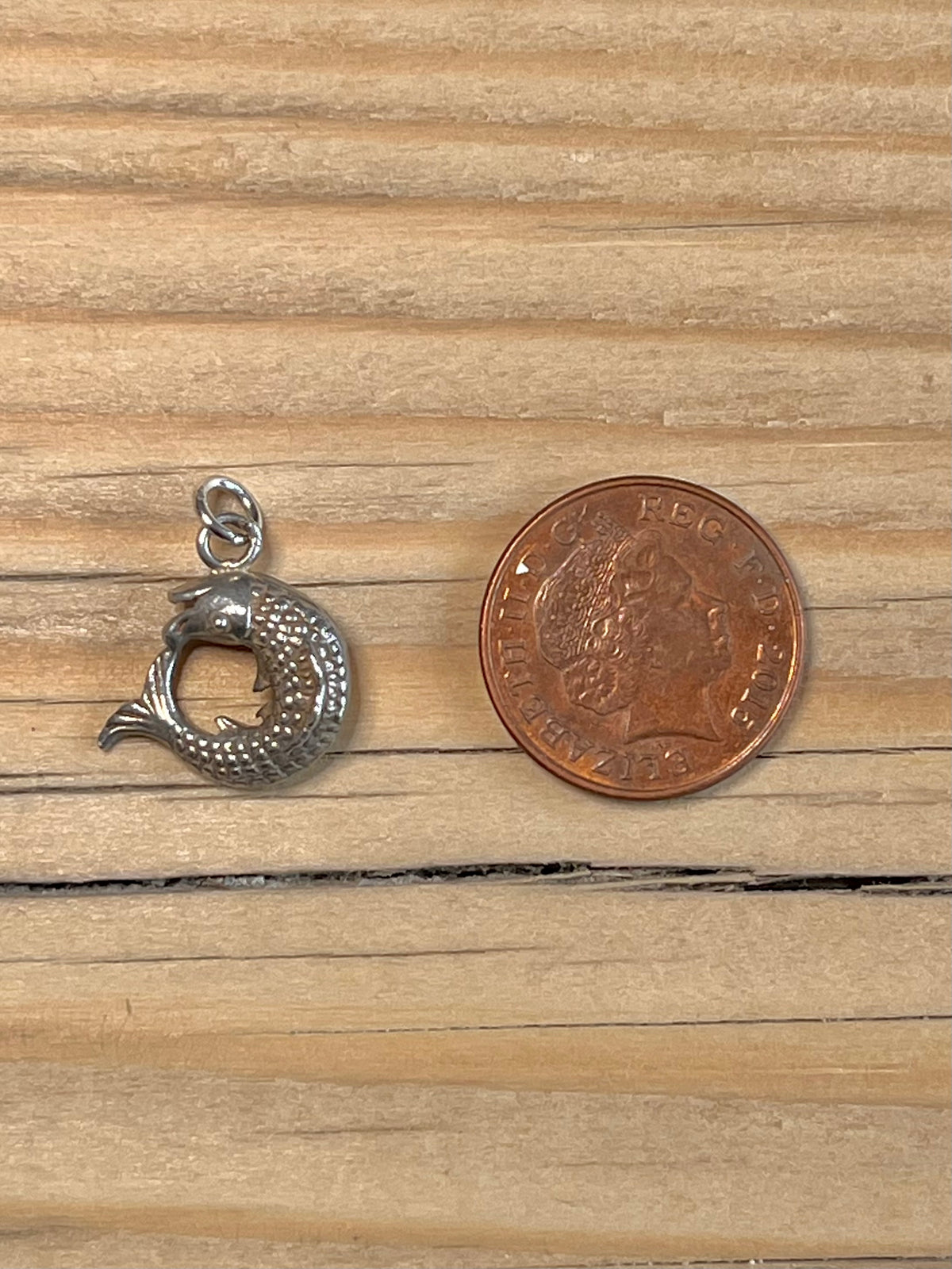 Small Circle Fish 925 Sterling Silver Pendant