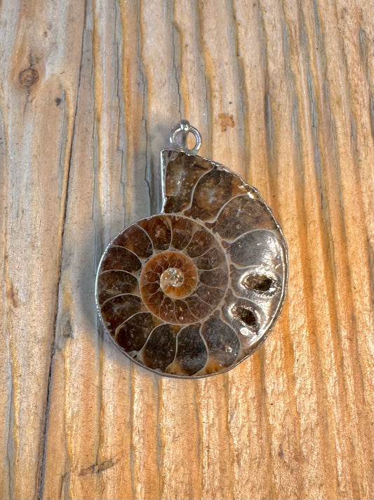 Ammonite with Silver Mount 925 Sterling Silver Pendant