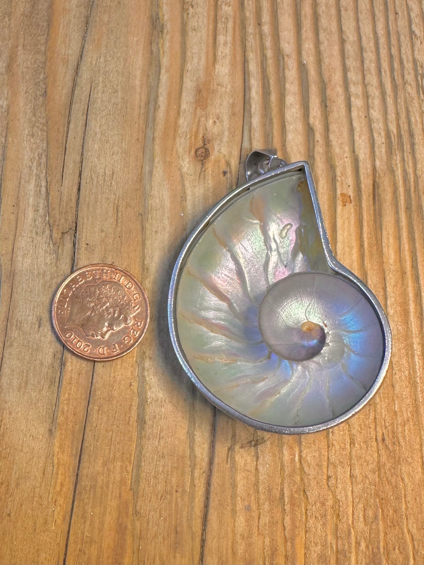 Nautilus Large Shell 925 Sterling Silver Pendant