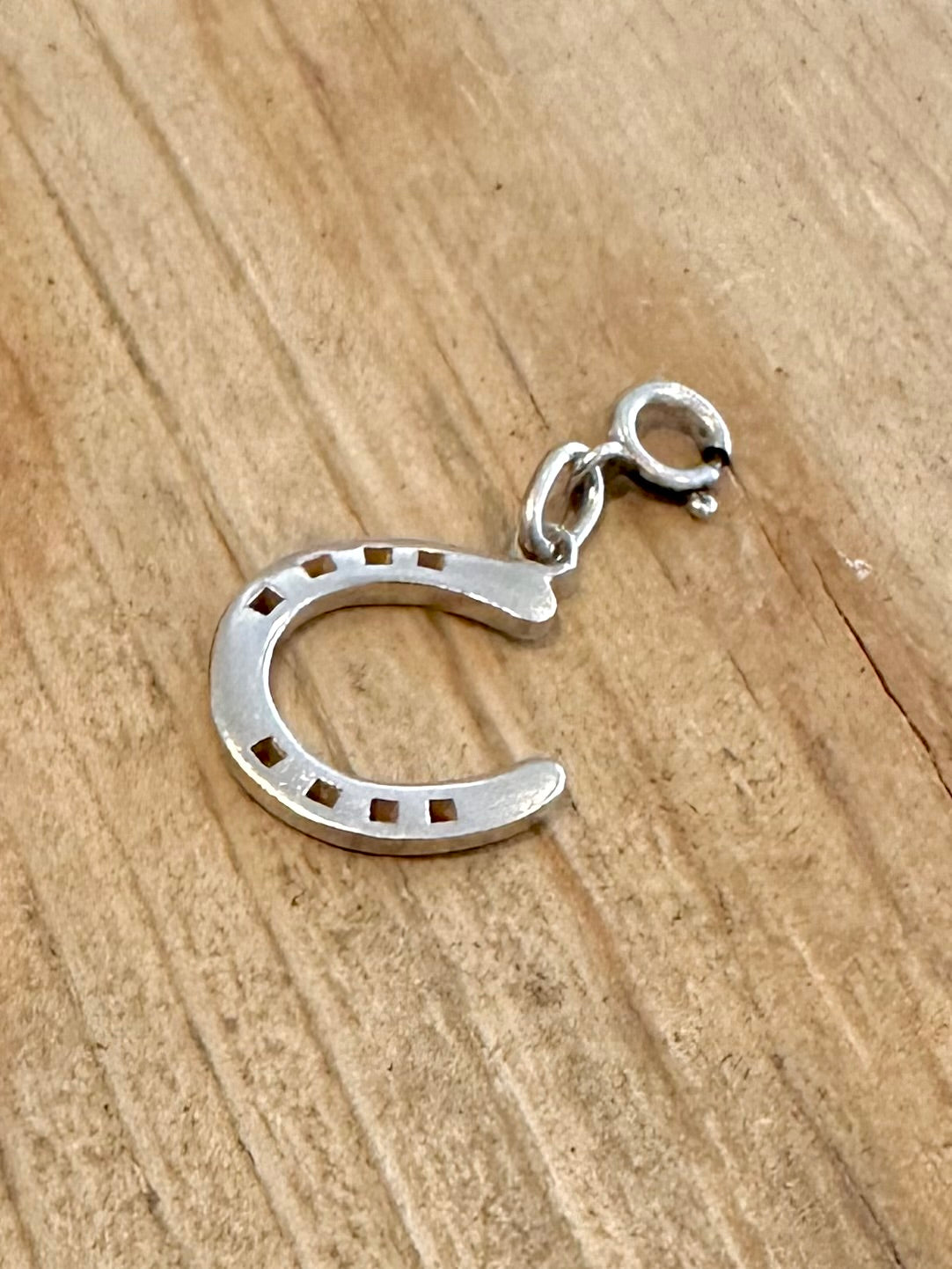 Vintage Horse Shoe 925 Silver with Clasp Pendant