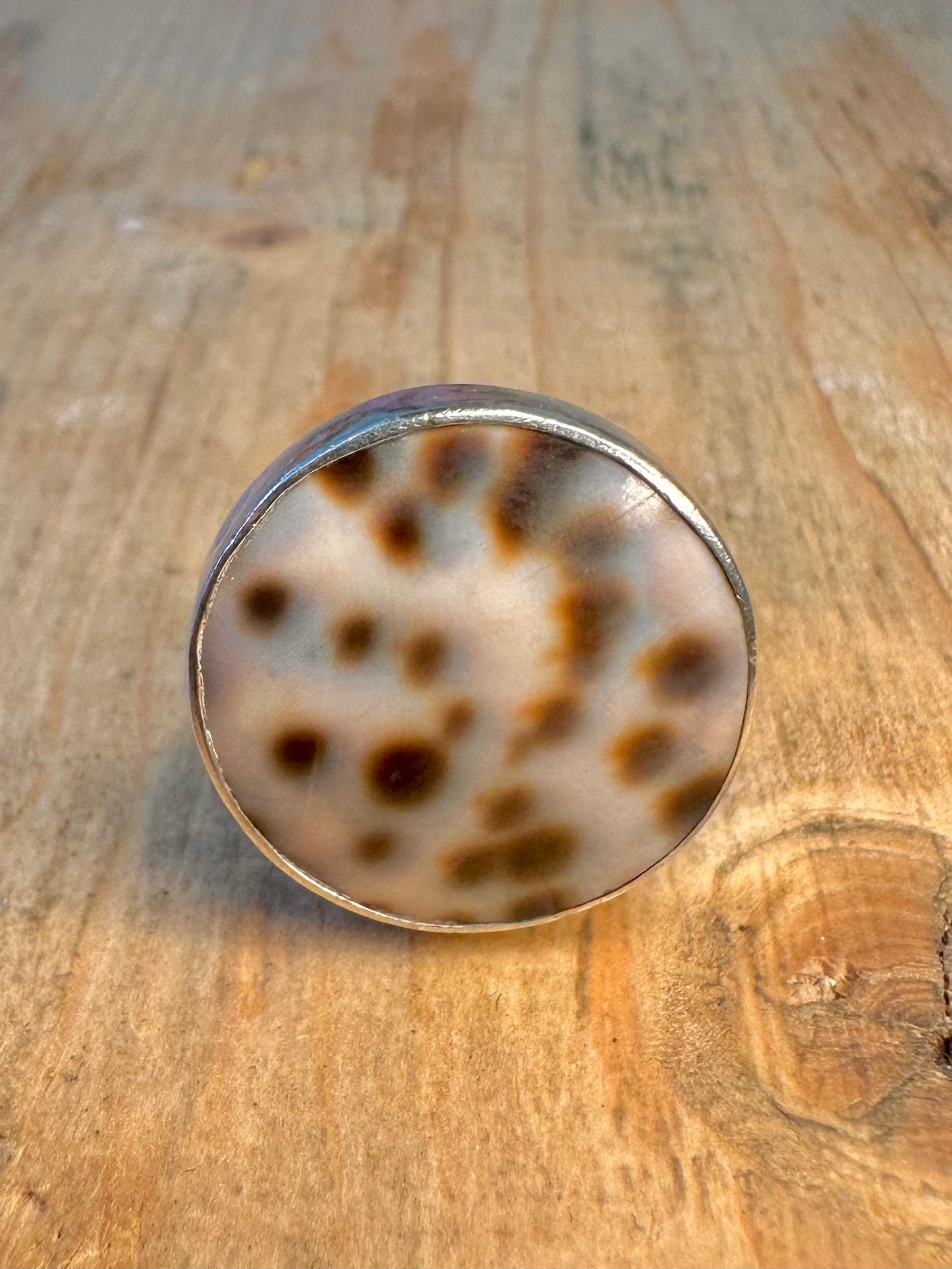 Cowrie Shell Circle 925 Sterling Silver Size S Ring