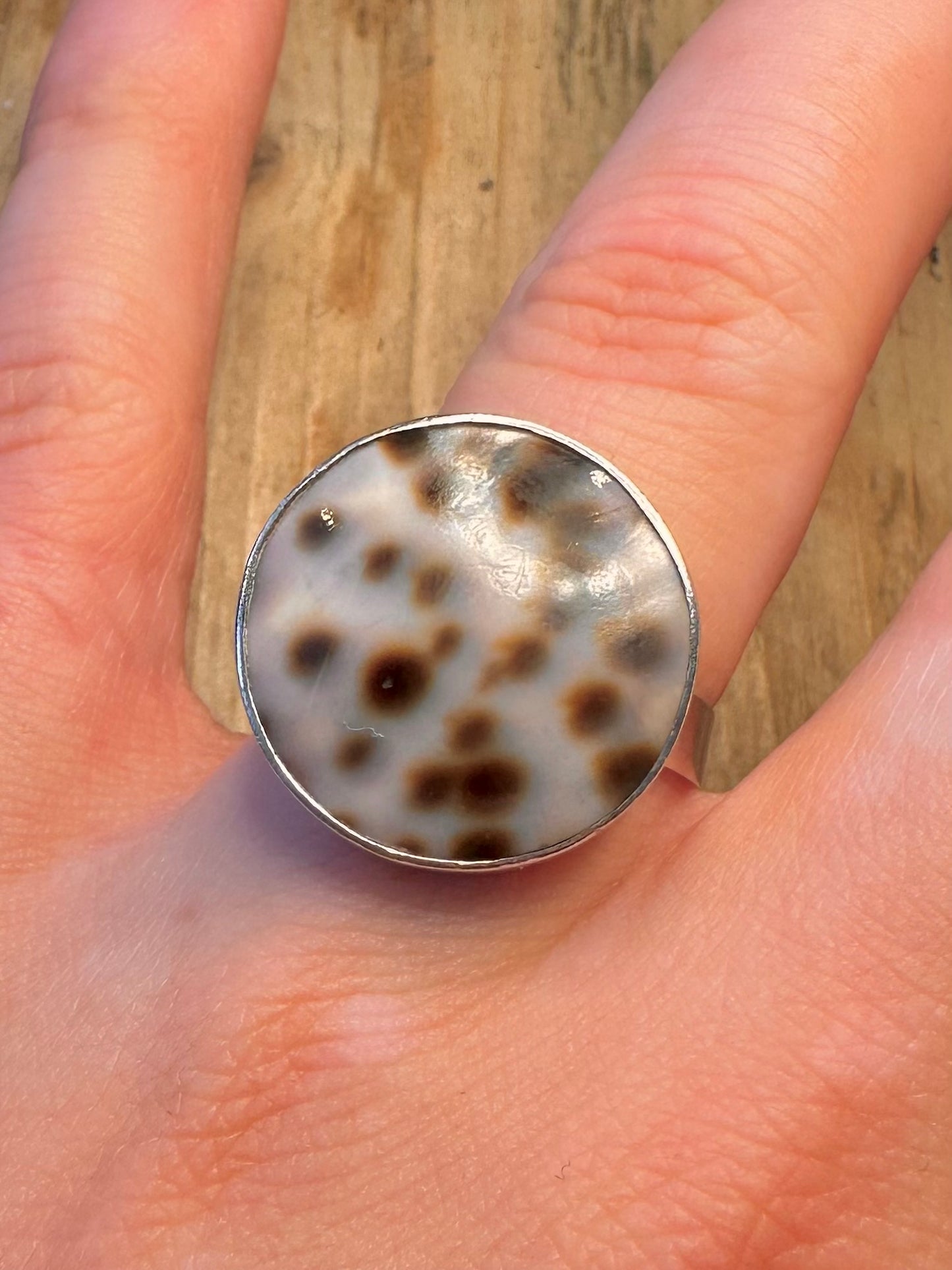 Cowrie Shell Circle 925 Sterling Silver Size S Ring