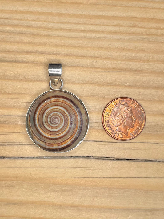 Large Spiral Sundial Shell 925 Sterling Silver Pendant