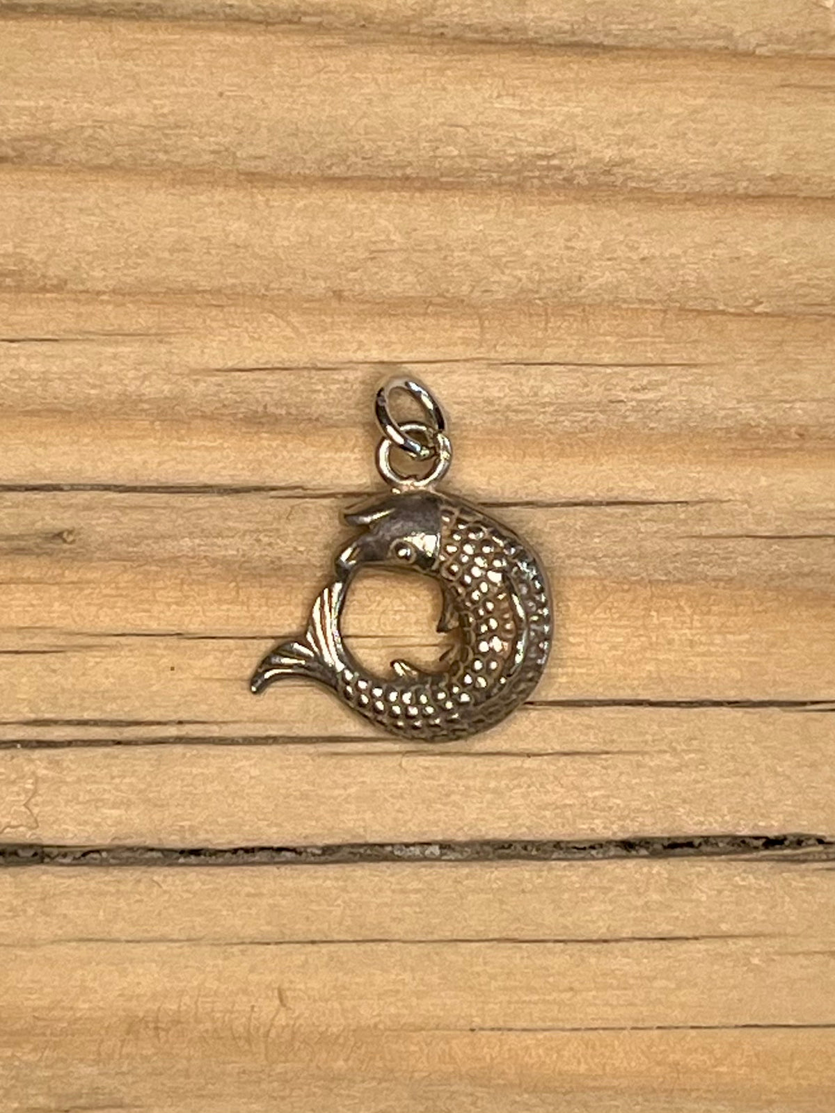Small Circle Fish 925 Sterling Silver Pendant