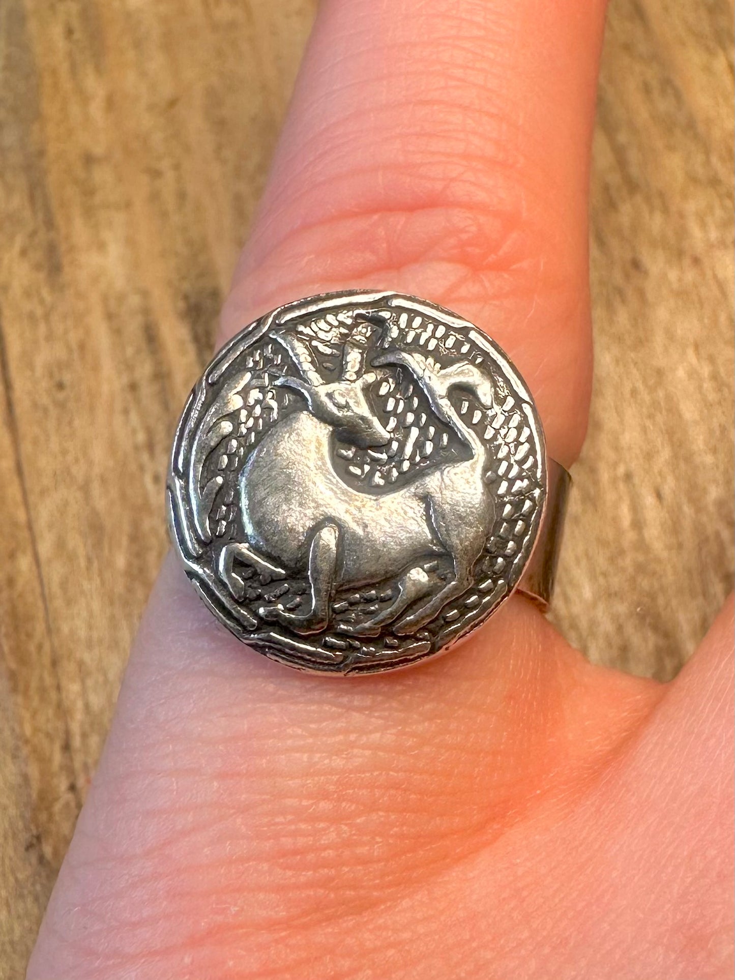 Steinbock-Kreis Ägyptische Markierungen Silber Größenverstellbarer Ring K1/2