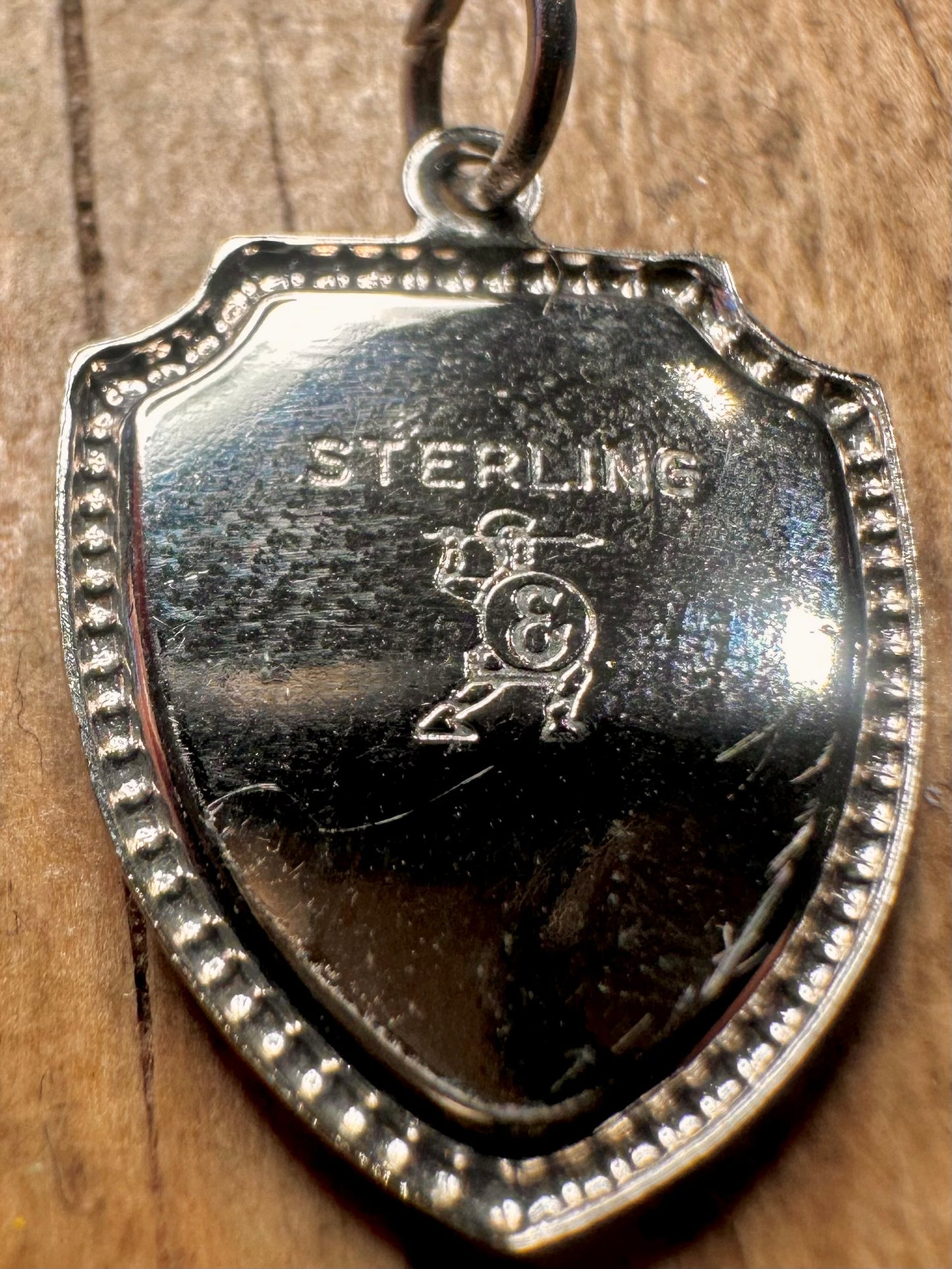 Vintage Enamel Palm Springs Shield 925 Sterling Silver Charm Pendant