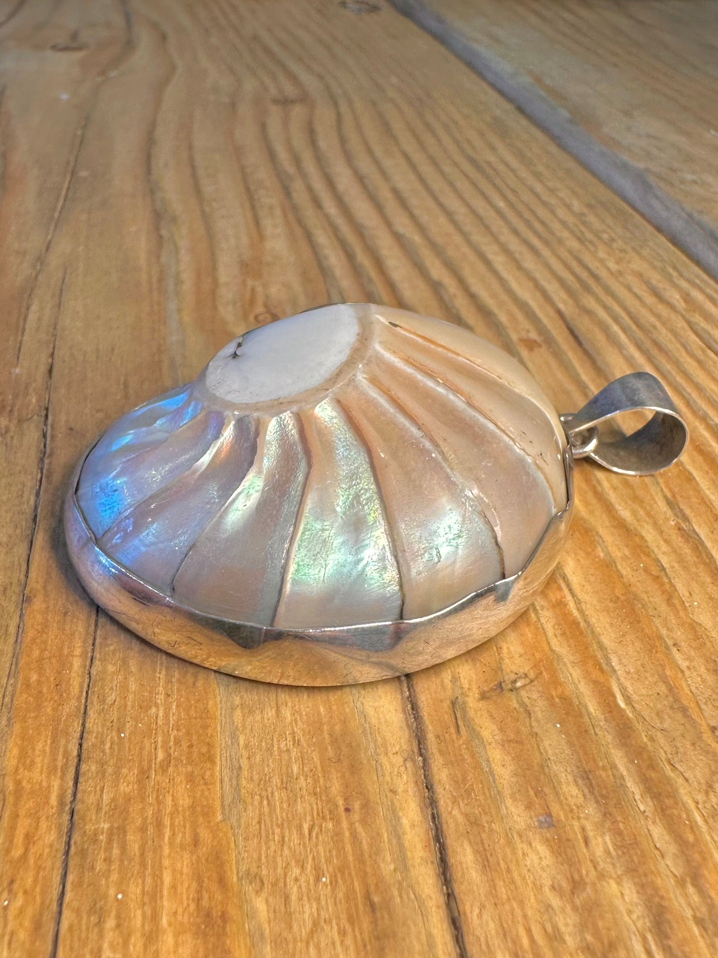 Nautilus Large Shell 925 Sterling Silver Pendant