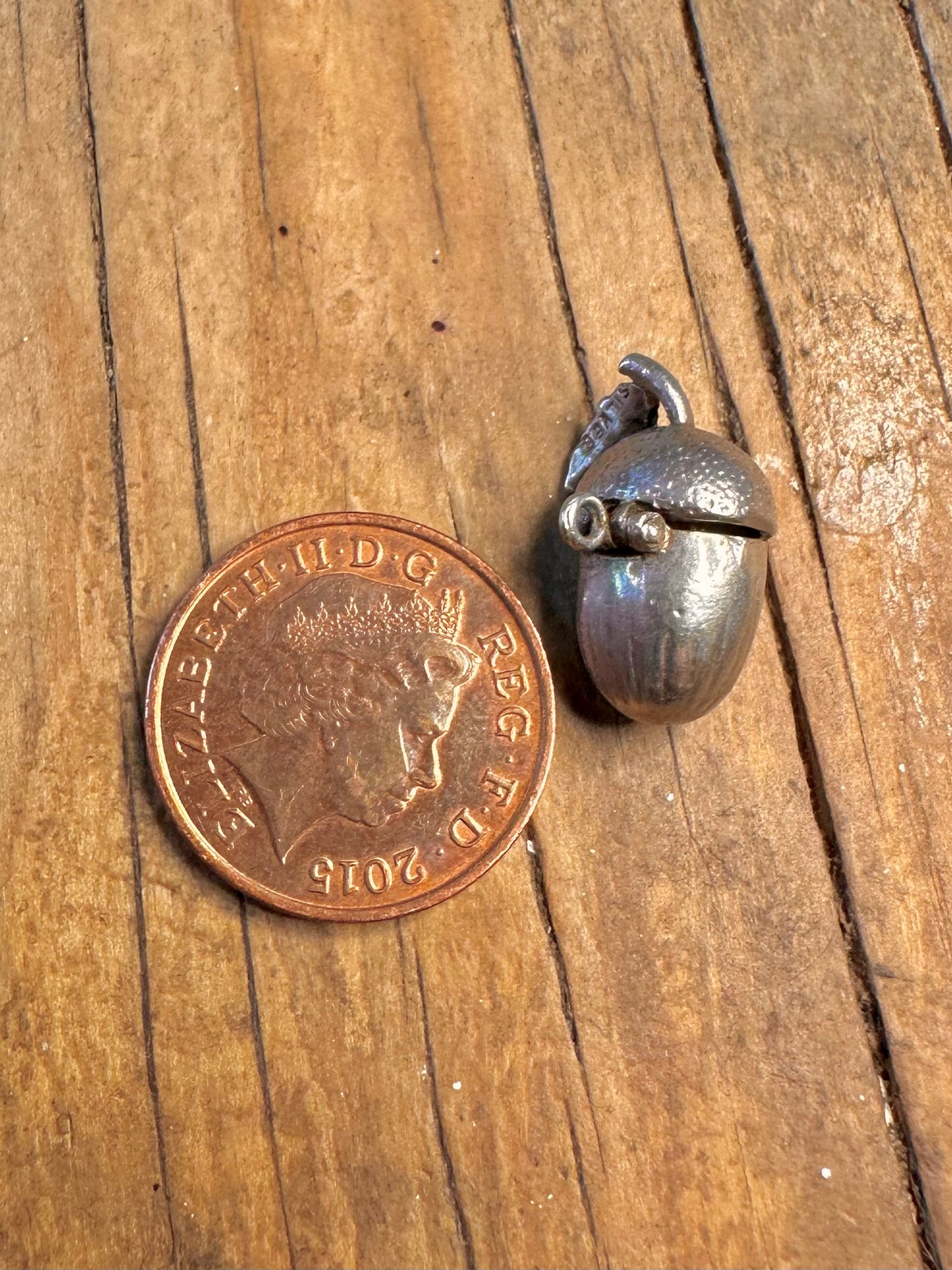 Acorn Squirrel Opening 925 Sterling Silver Charm Pendant