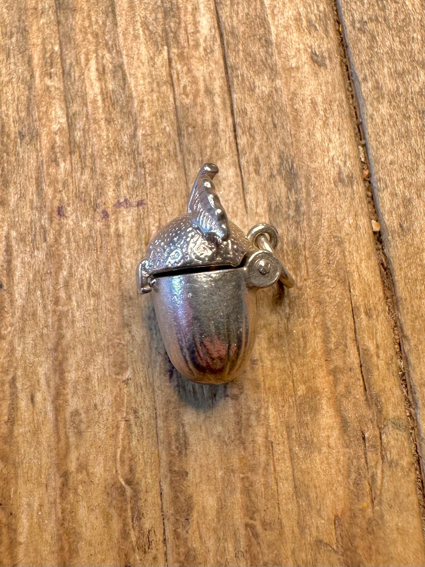 Acorn Opening Squirrel 925 Sterling Silver Charm Pendant