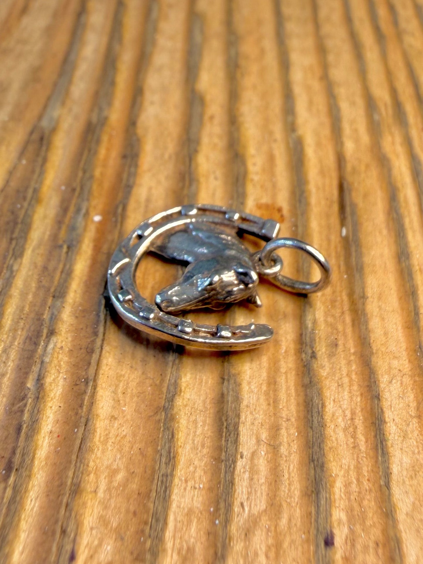 Horseshoe Head 925 Sterling Silver Pendant