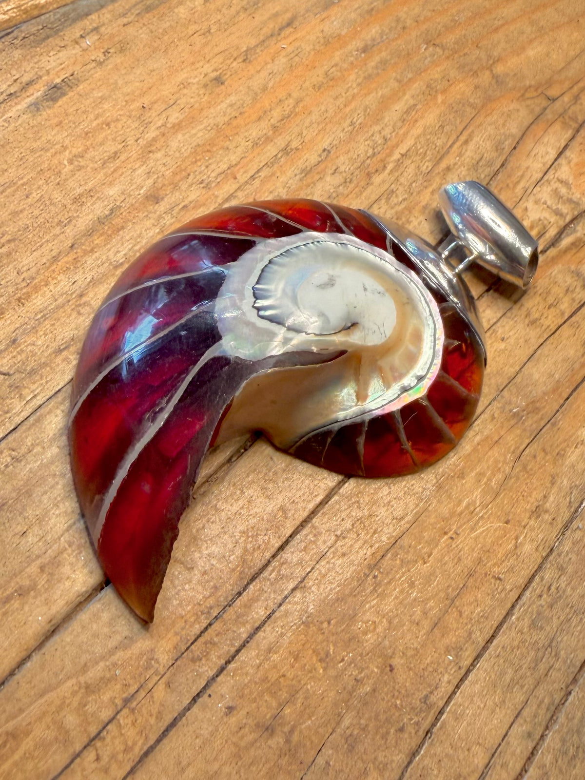 Large Red Nautilus Shell 925 Sterling Silver Pendant