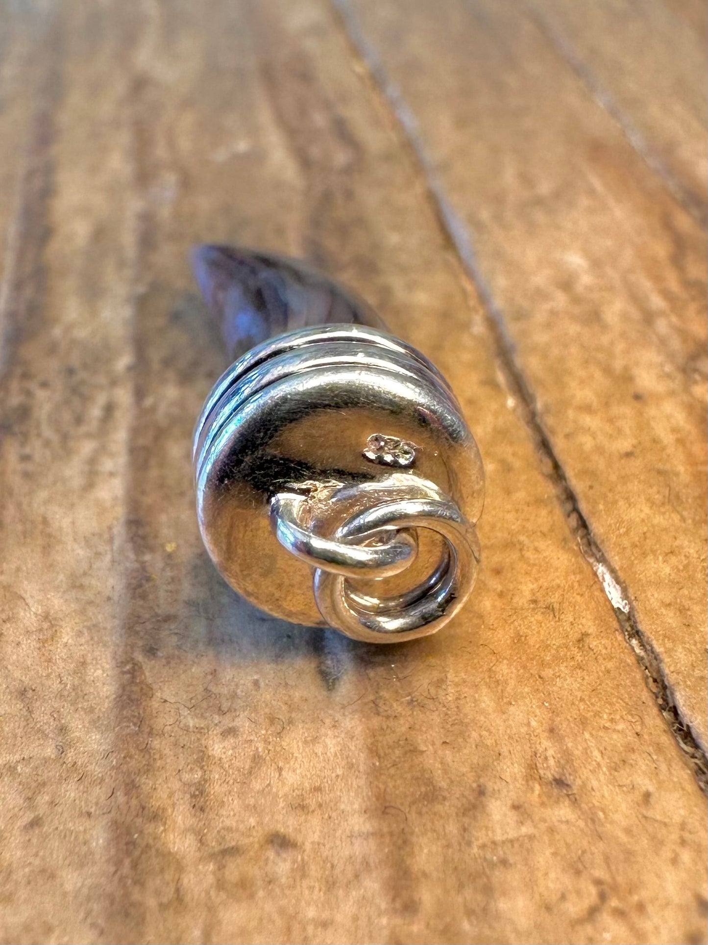 Abalone-Kralle 925 Sterling Silber Anhänger