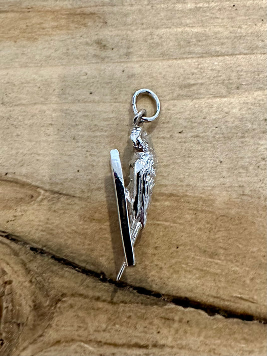 Modern Parrot and Ladder 925 Silver Charm Pendant