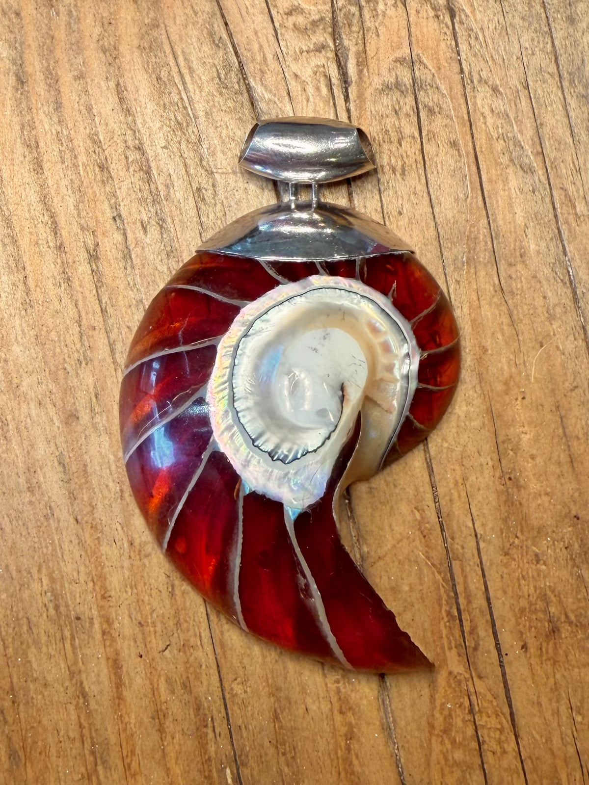 Large Red Nautilus Shell 925 Sterling Silver Pendant