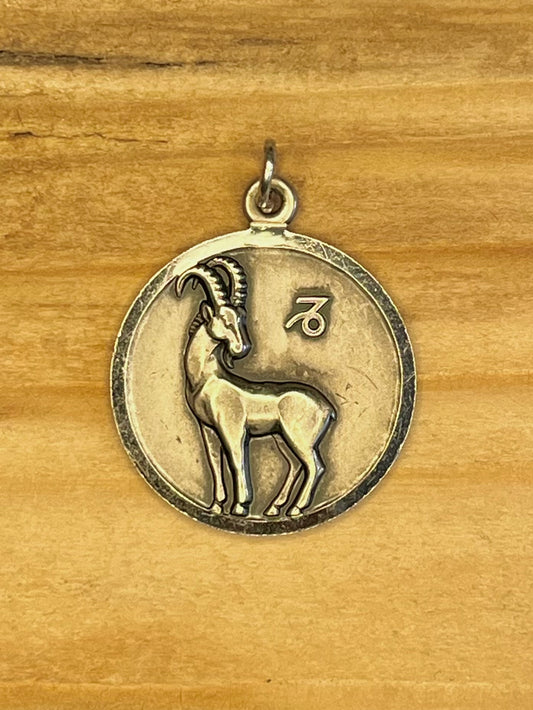 Circle Capricorn Zodiac 925 Sterling Silver Pendant