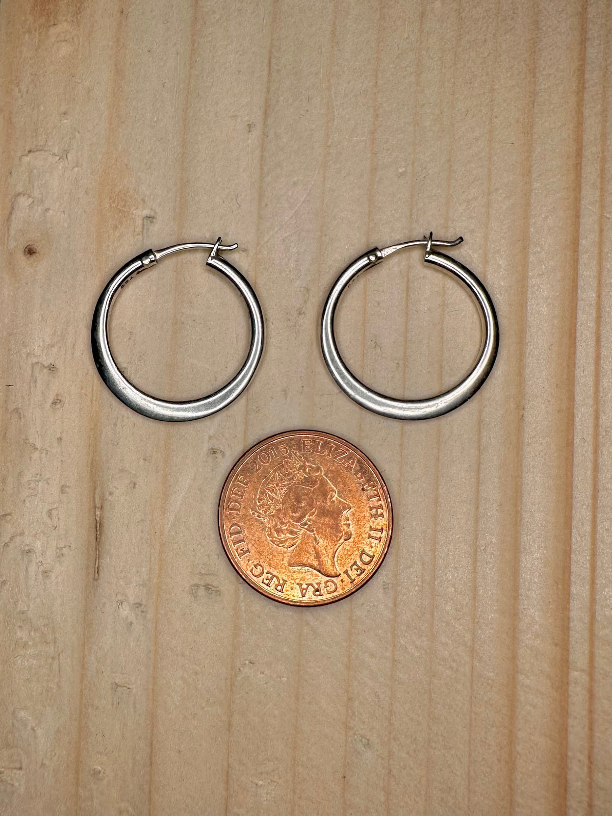 Flat Hoop 925 Sterling Silver Earrings