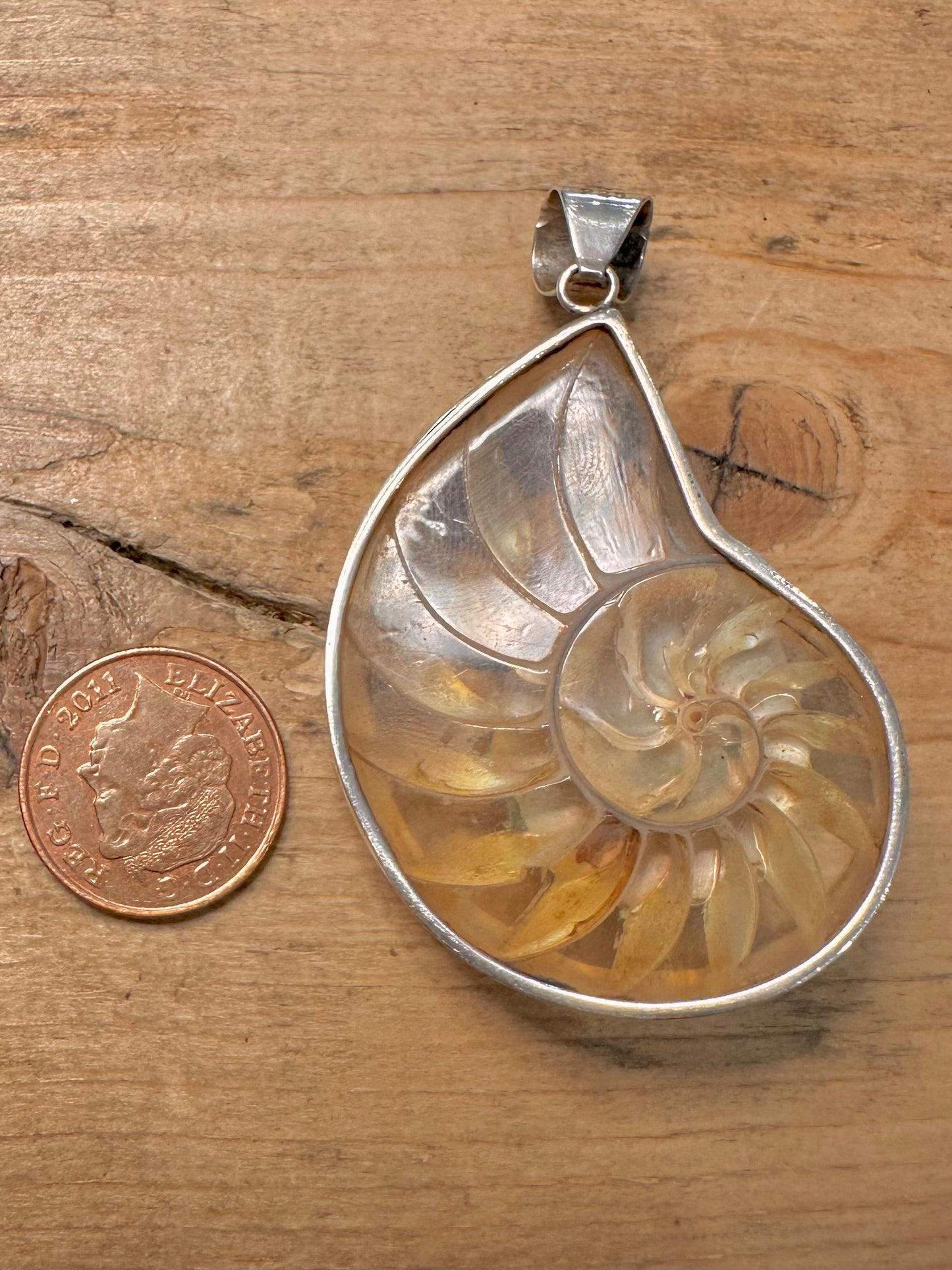 Abstract Transparent Nautilus Shell 925 Silver Pendant