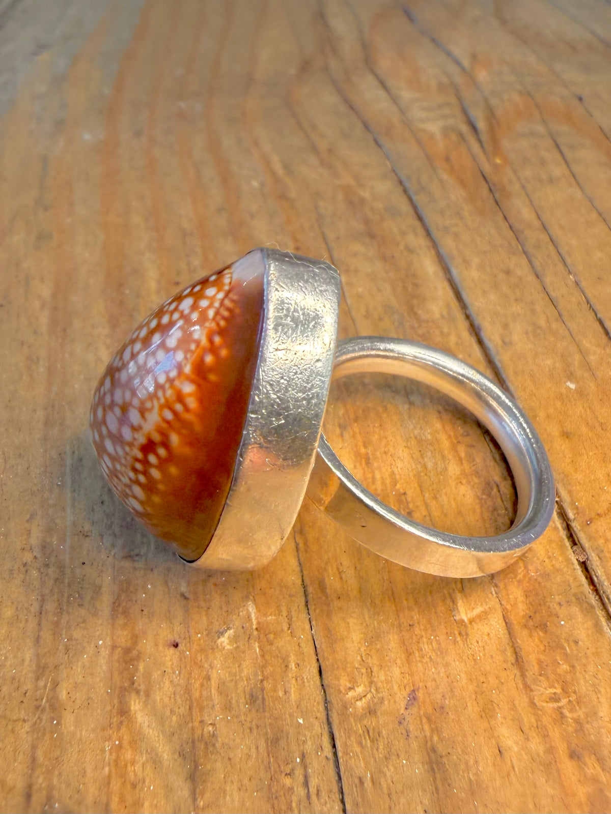 Cowrie Shell 925 Sterling Silver Size P Adjustable Ring