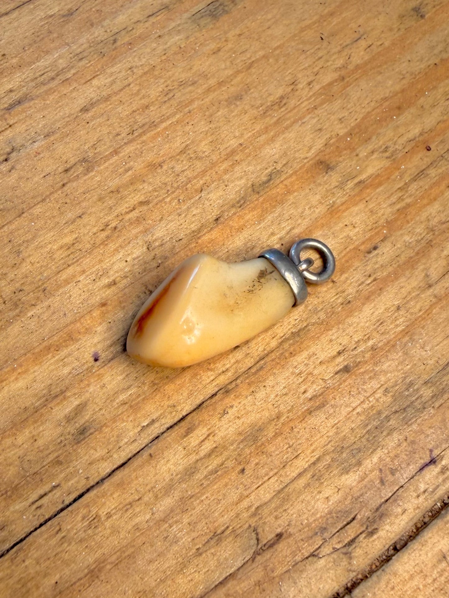 Tooth Mount 925 Sterling Silver Pendant