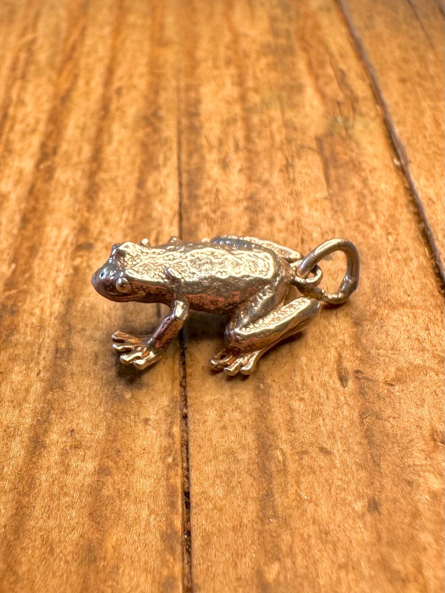 Textured Frog 925 Sterling Silver Charm Pendant