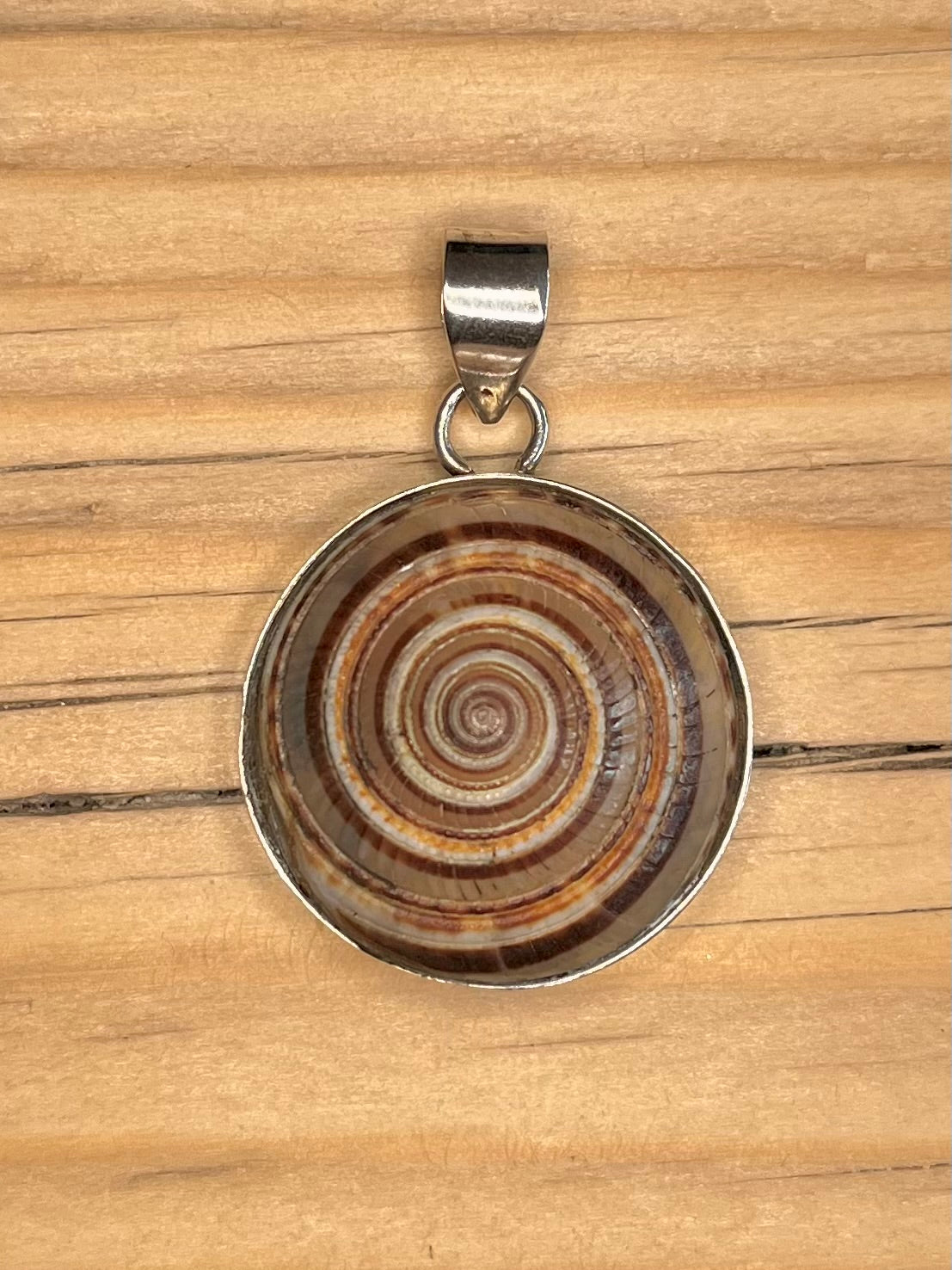 Large Spiral Sundial Shell 925 Sterling Silver Pendant
