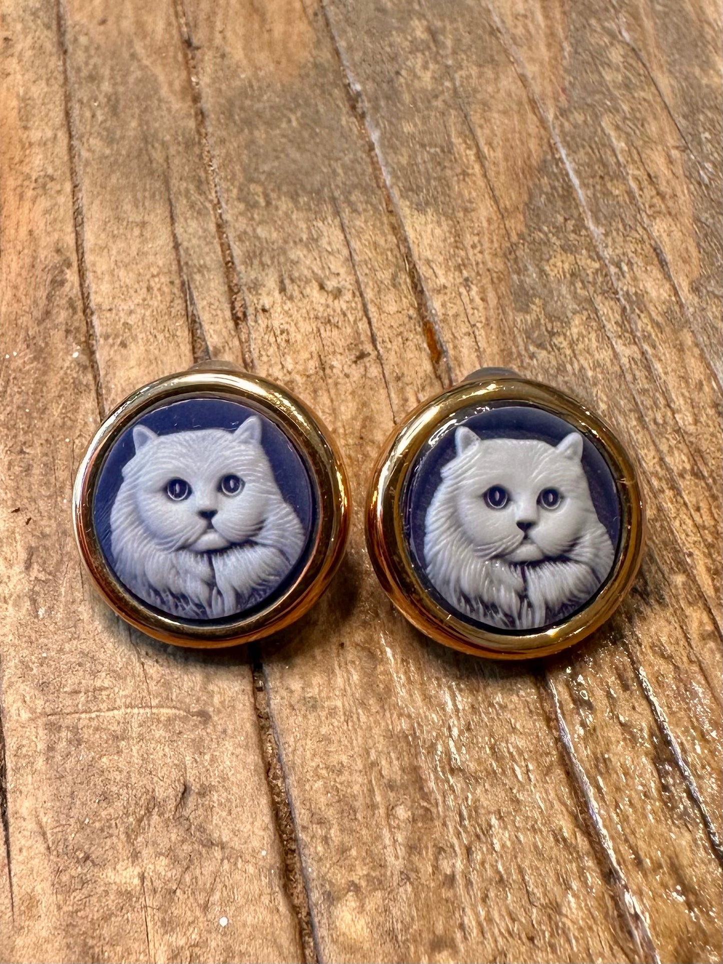 Blauer Kreis Cameo Katze Gold auf 925 Sterling Silber Ohrringe