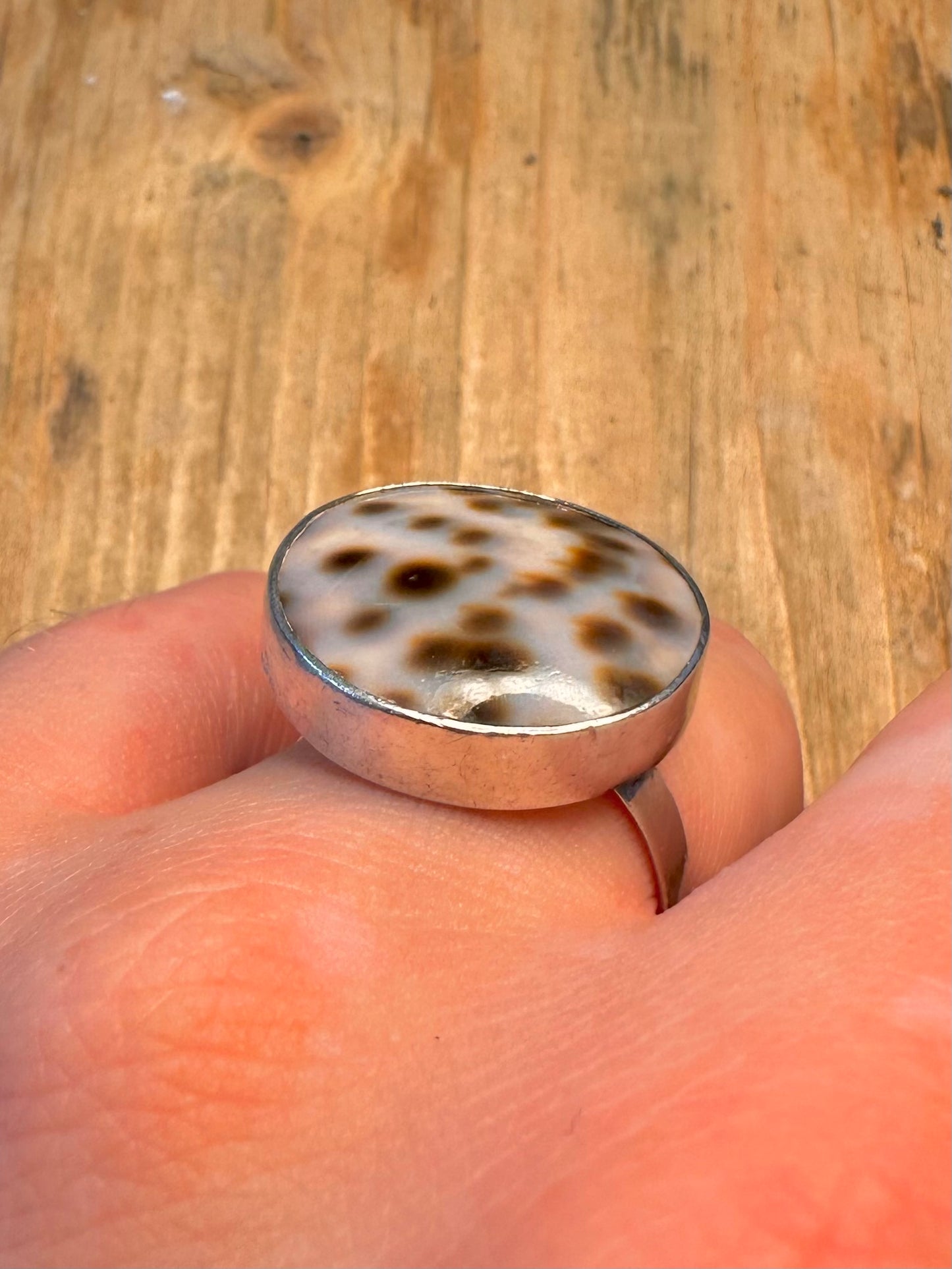 Cowrie Shell Circle 925 Sterling Silver Size S Ring