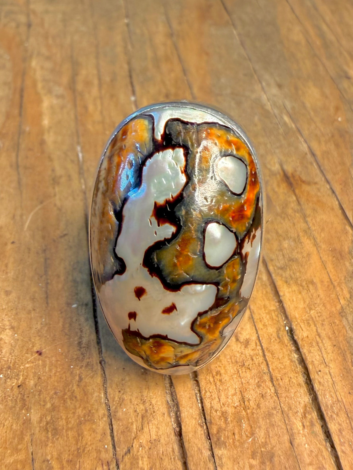 Turbo Sarmaticus Shell 925 Sterling Silver R1/2 Ring