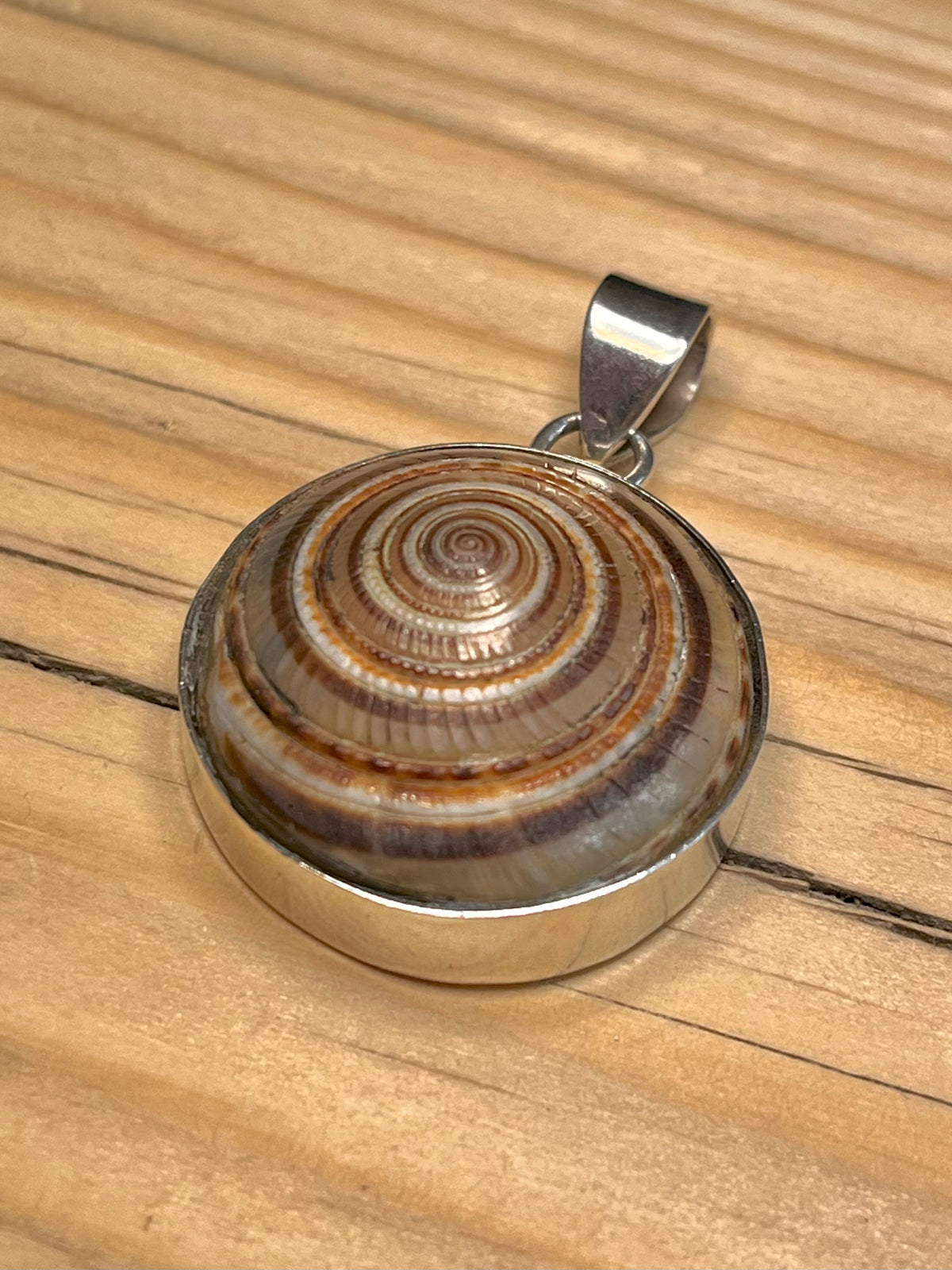 Large Spiral Sundial Shell 925 Sterling Silver Pendant