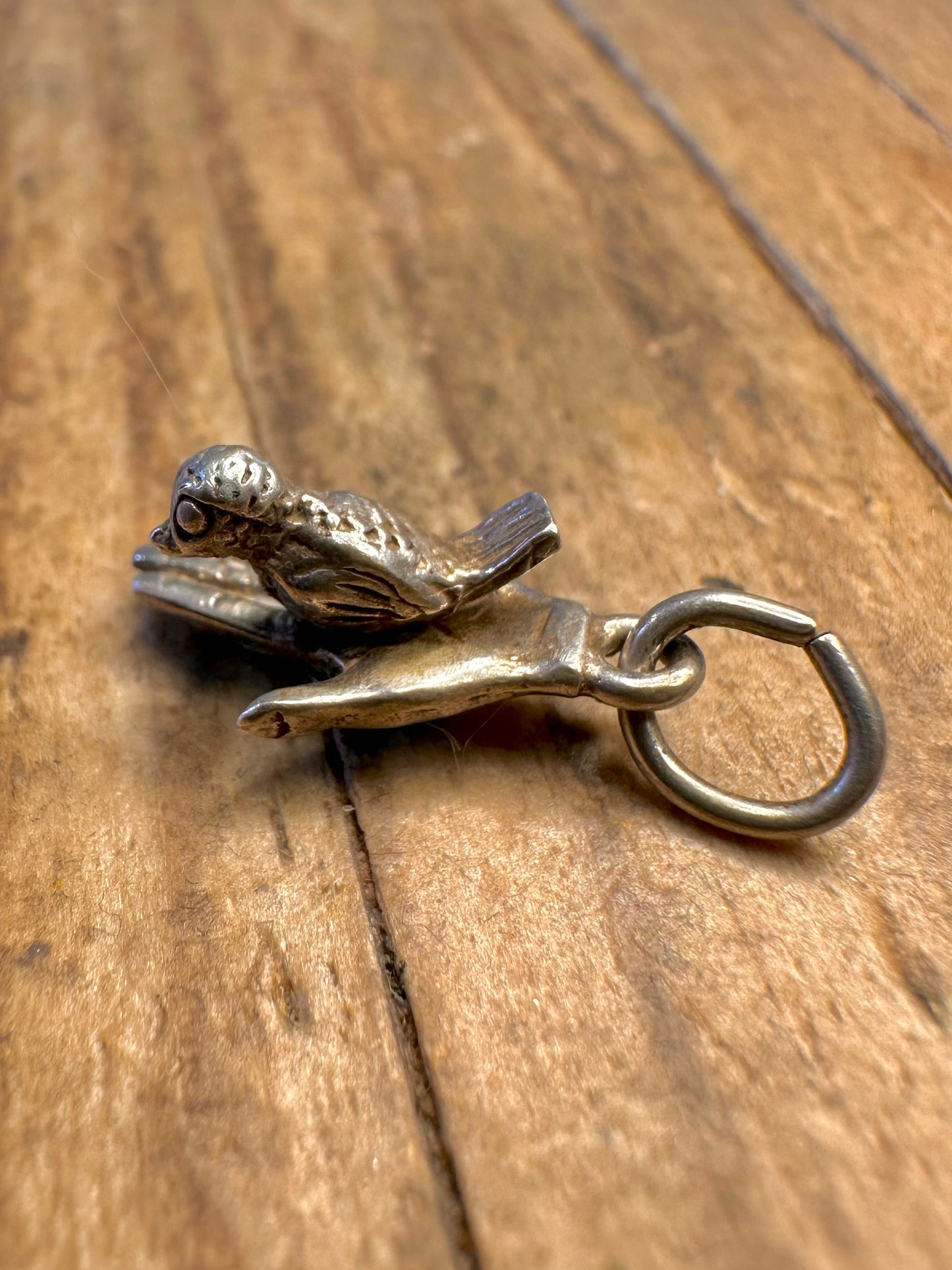 Bird Sat on Hand Rotating 925 Sterling Silver Charm Pendant