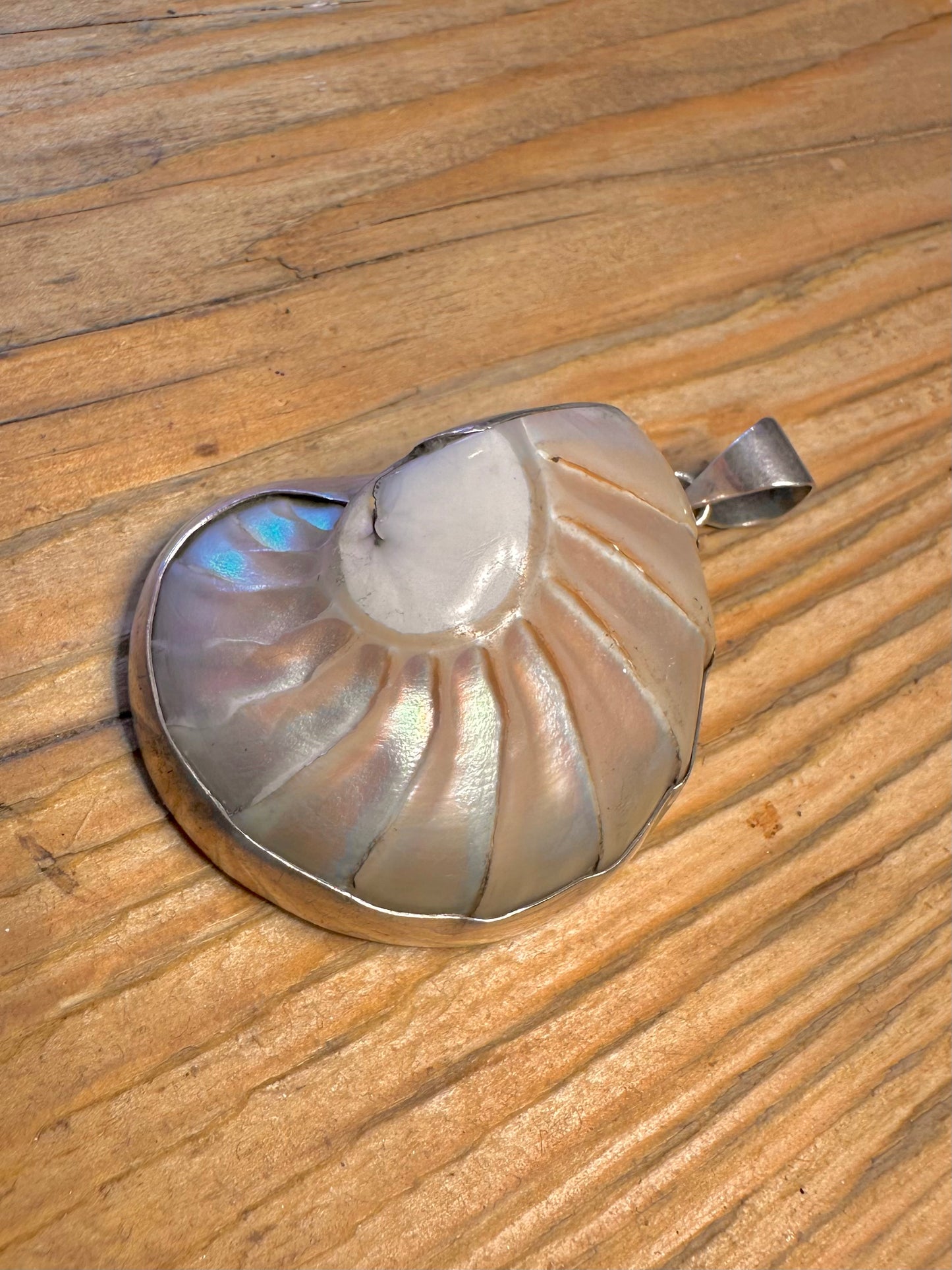 Nautilus Large Shell 925 Sterling Silver Pendant