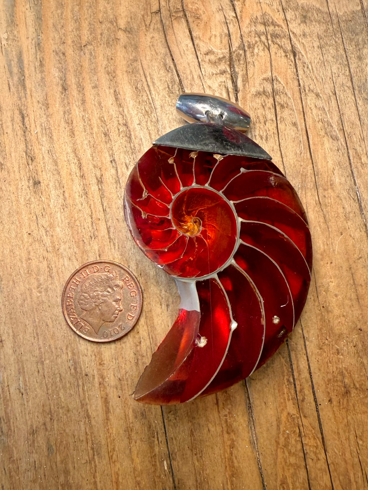 Large Red Nautilus Shell 925 Sterling Silver Pendant