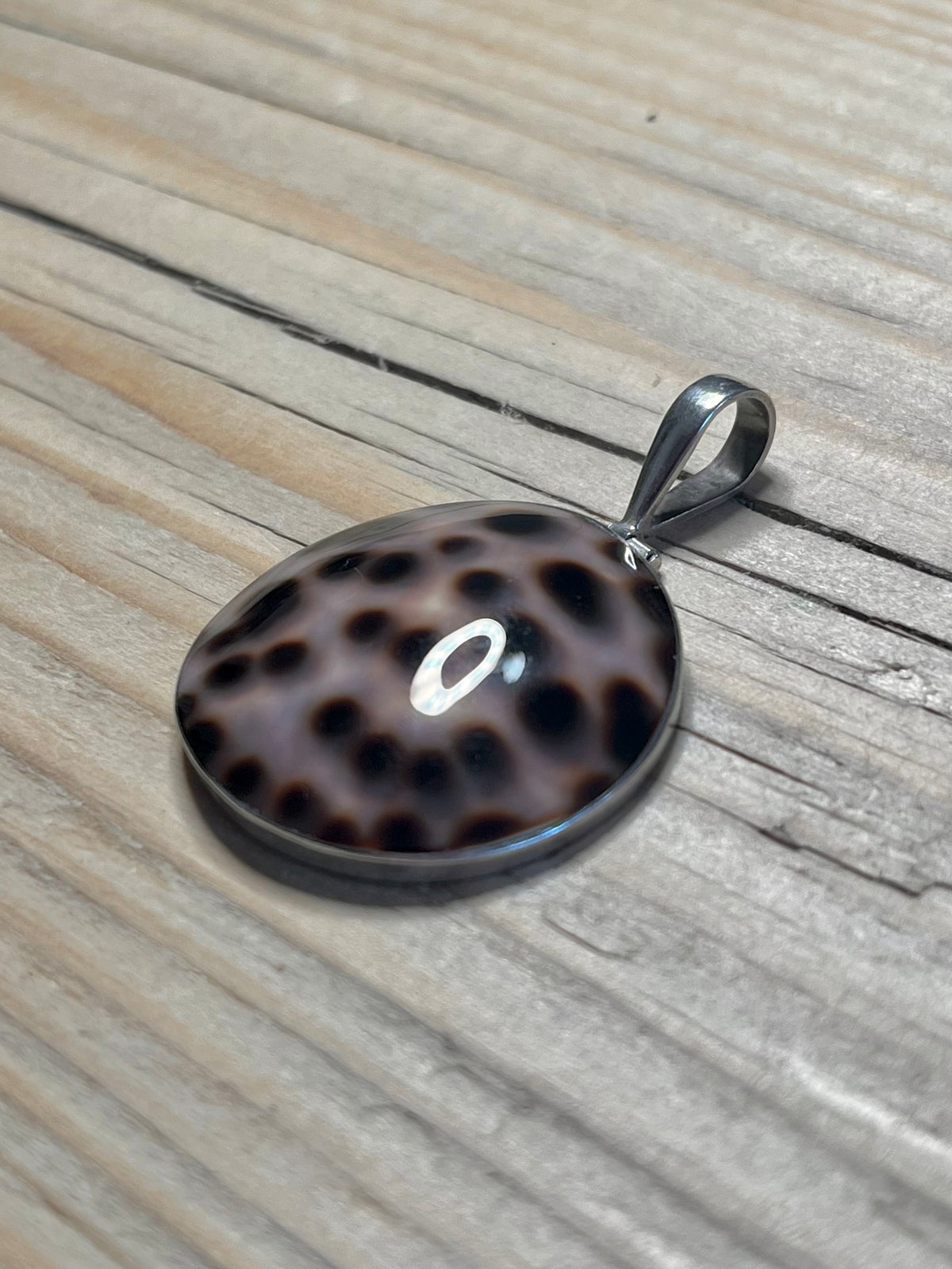 Circle Cowrie Shell 925 Sterling Silver Pendant