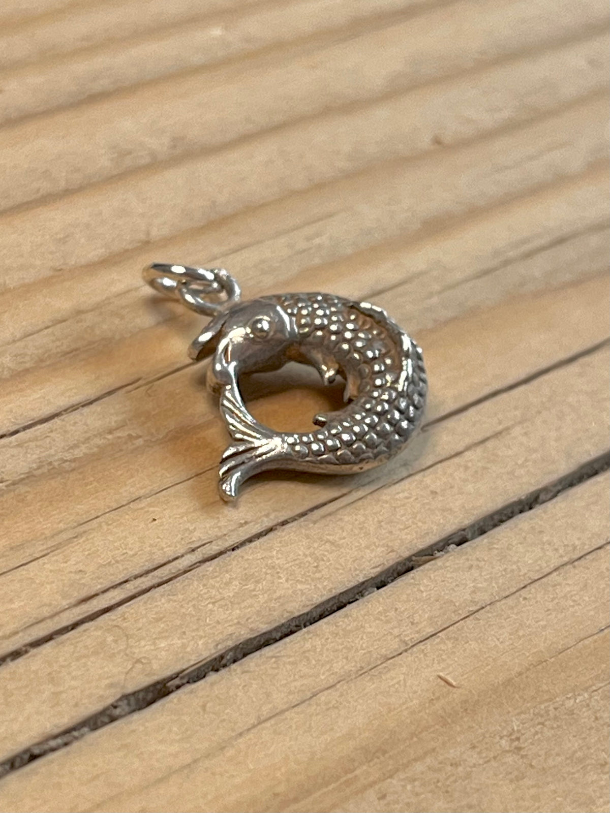 Small Circle Fish 925 Sterling Silver Pendant