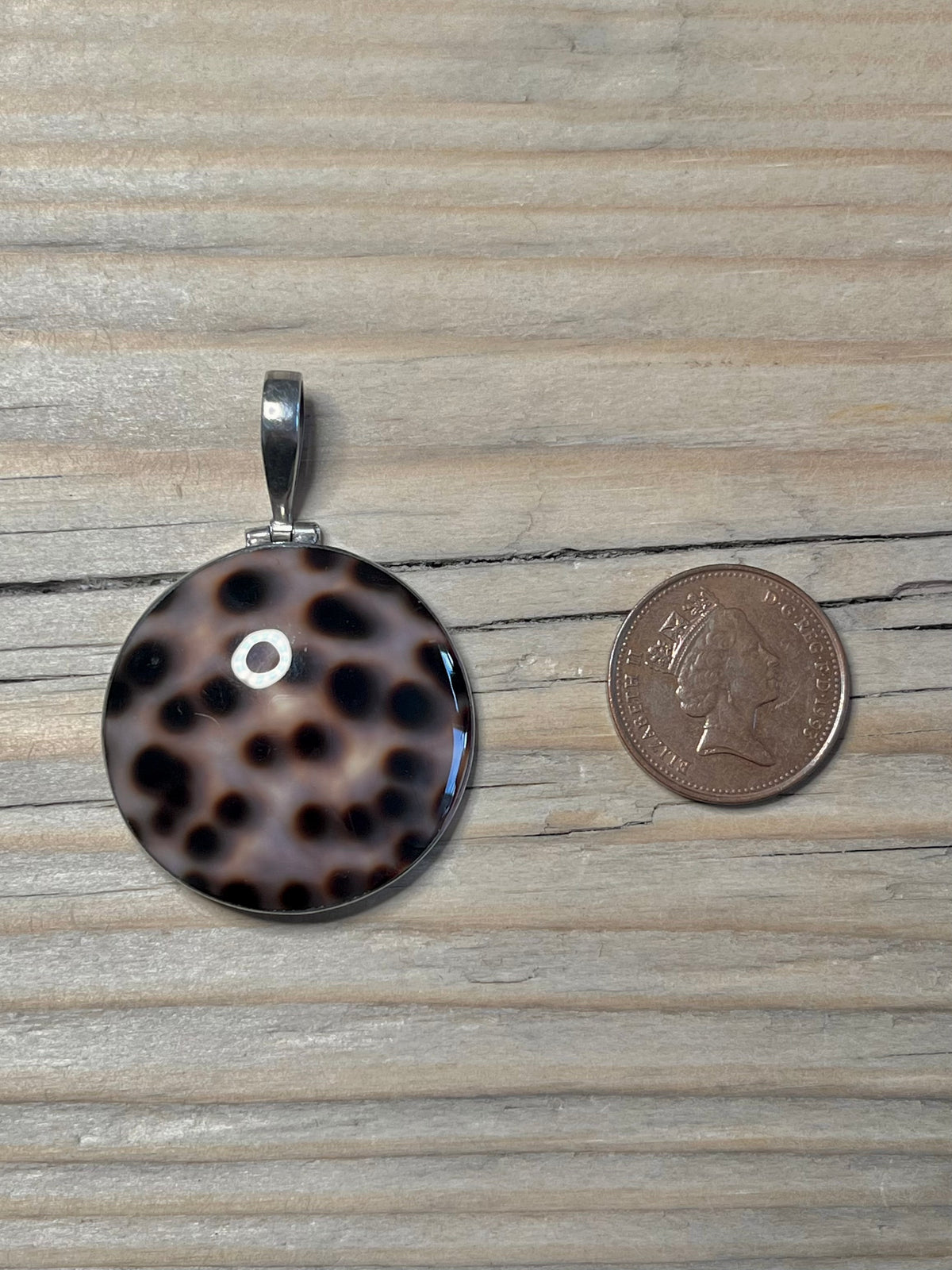 Circle Cowrie Shell 925 Sterling Silver Pendant